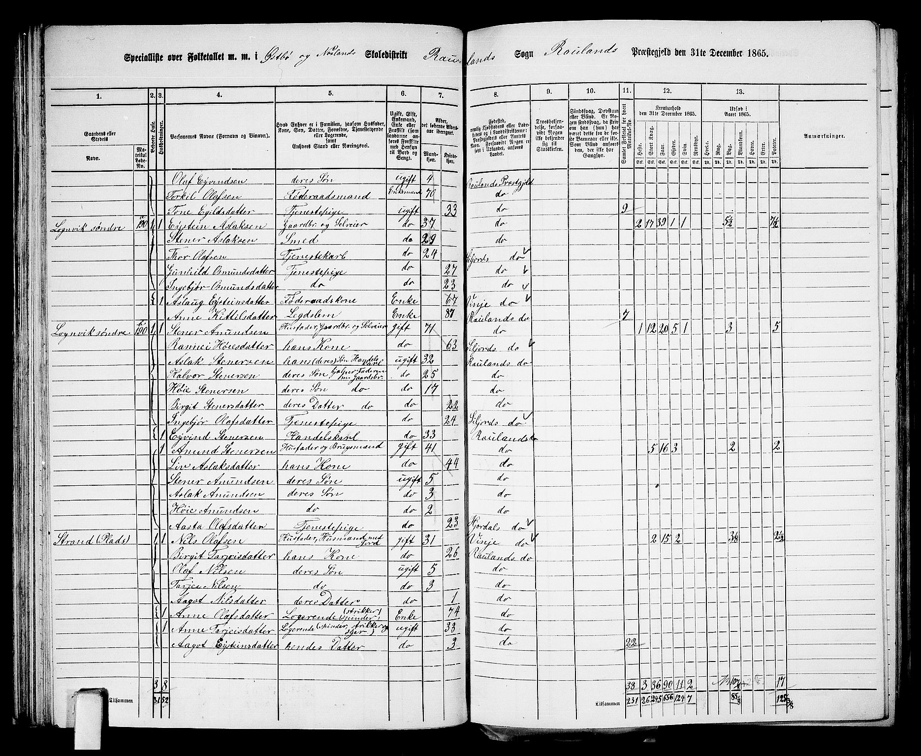 RA, 1865 census for Rauland, 1865, p. 49