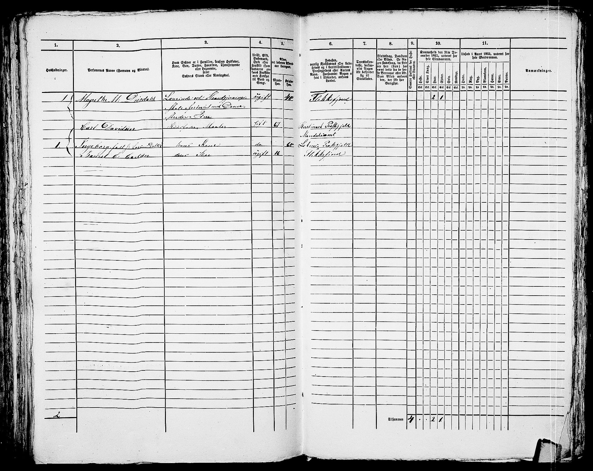 RA, 1865 census for Flekkefjord/Flekkefjord, 1865, p. 221