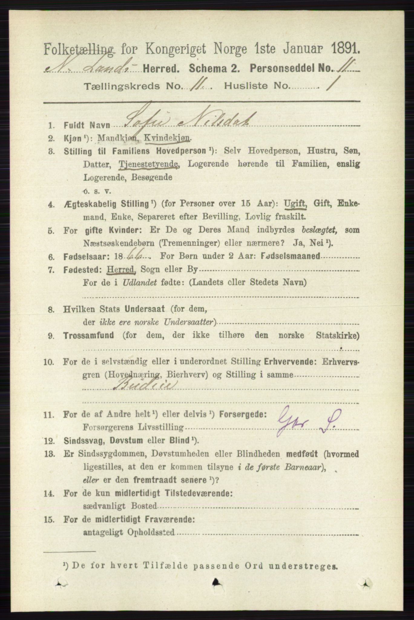 RA, 1891 census for 0538 Nordre Land, 1891, p. 3040