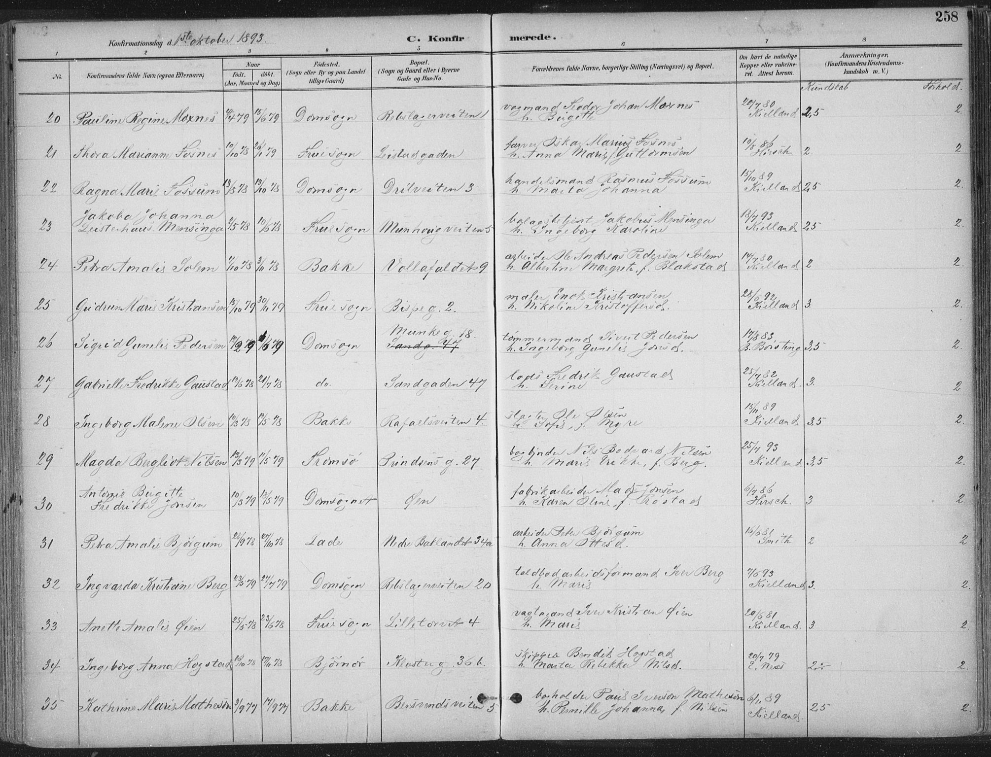 Ministerialprotokoller, klokkerbøker og fødselsregistre - Sør-Trøndelag, SAT/A-1456/601/L0062: Parish register (official) no. 601A30, 1891-1911, p. 258
