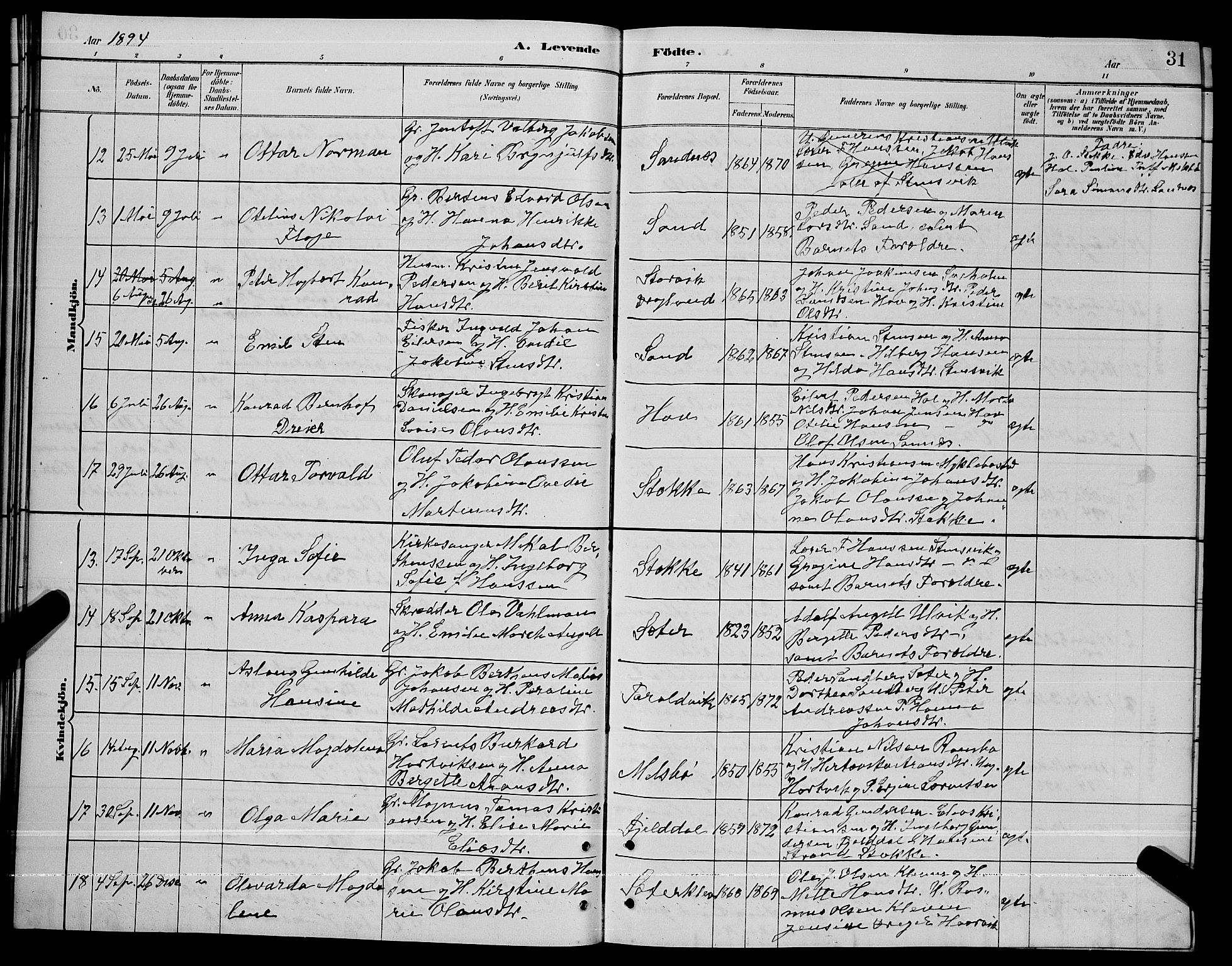 Ministerialprotokoller, klokkerbøker og fødselsregistre - Nordland, AV/SAT-A-1459/865/L0931: Parish register (copy) no. 865C03, 1885-1901, p. 31