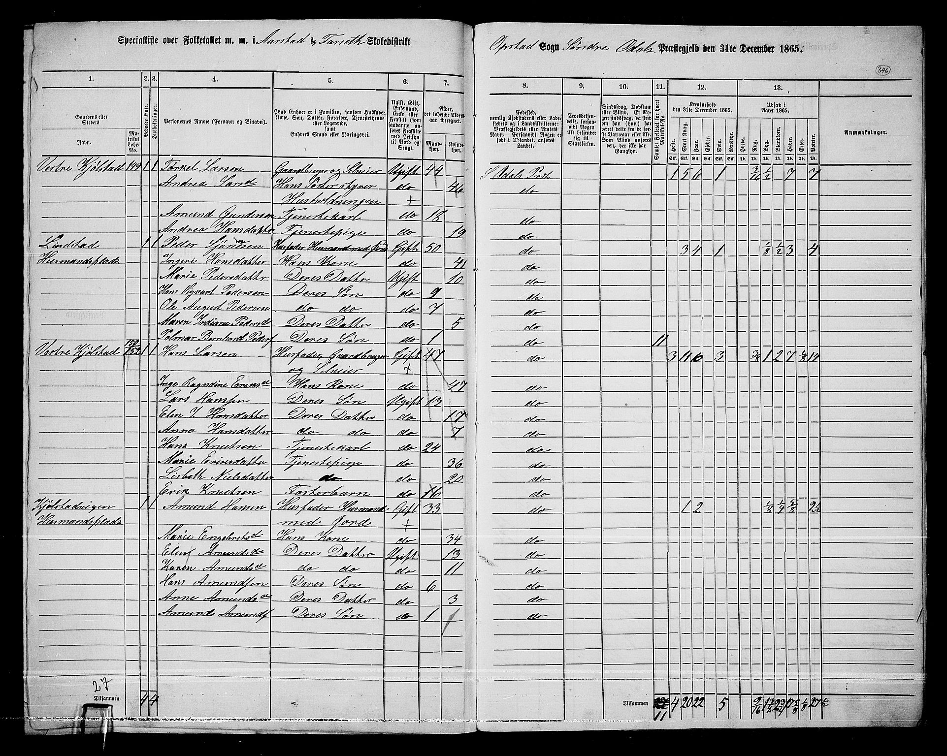 RA, 1865 census for Sør-Odal, 1865, p. 305