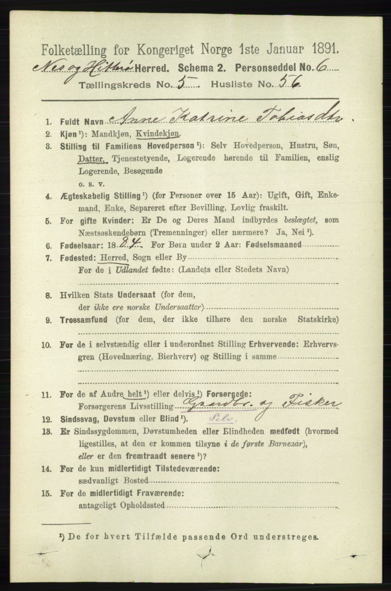 RA, 1891 census for 1043 Hidra og Nes, 1891, p. 2145