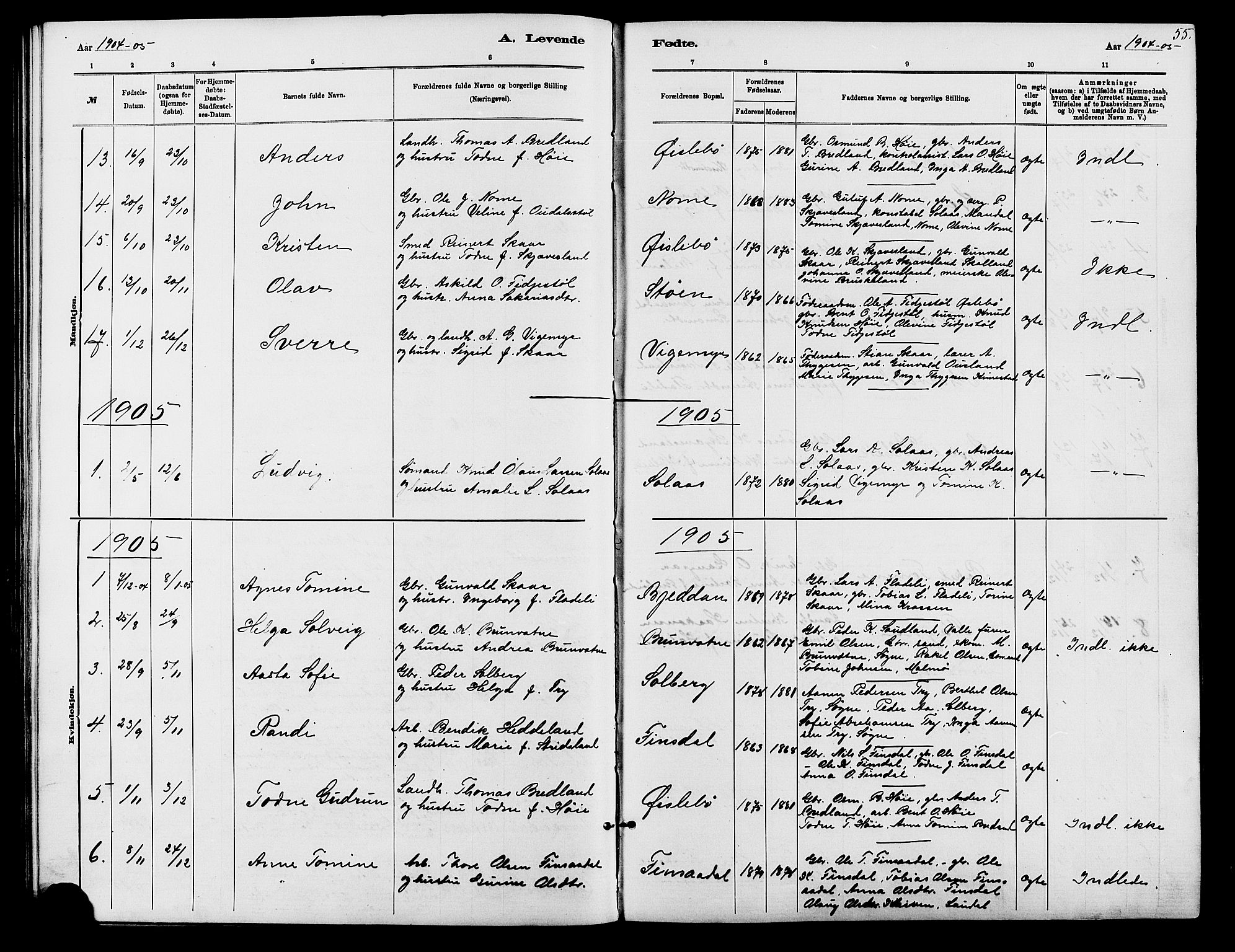 Holum sokneprestkontor, AV/SAK-1111-0022/F/Fb/Fbc/L0003: Parish register (copy) no. B 3, 1882-1908, p. 55