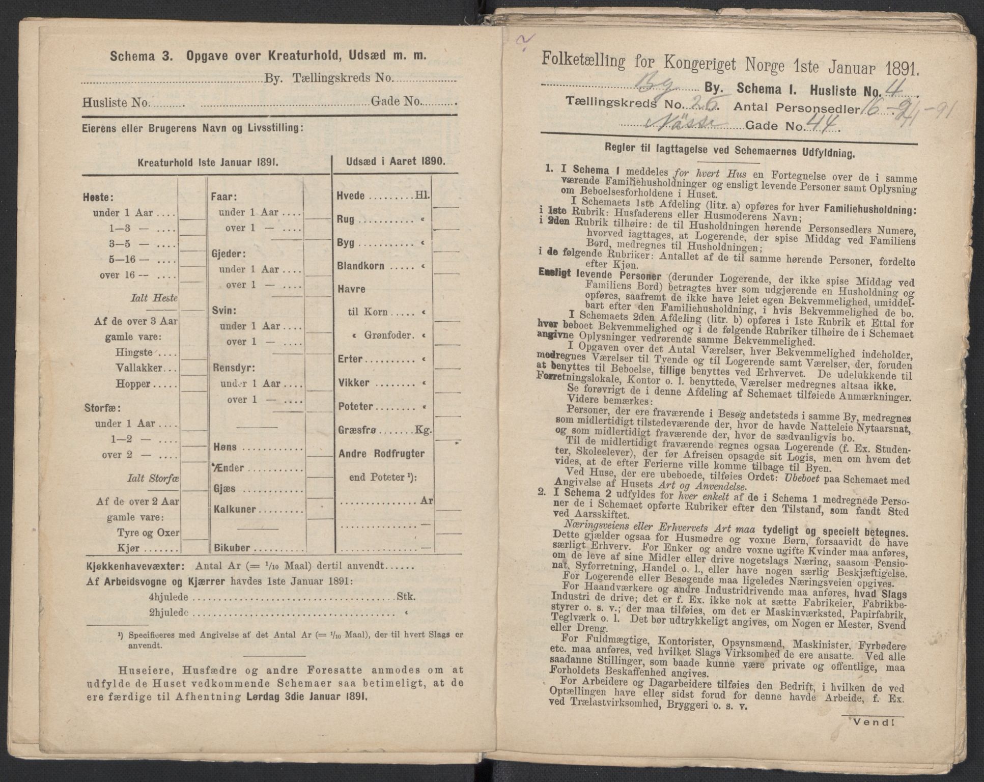 RA, 1891 Census for 1301 Bergen, 1891, p. 4163