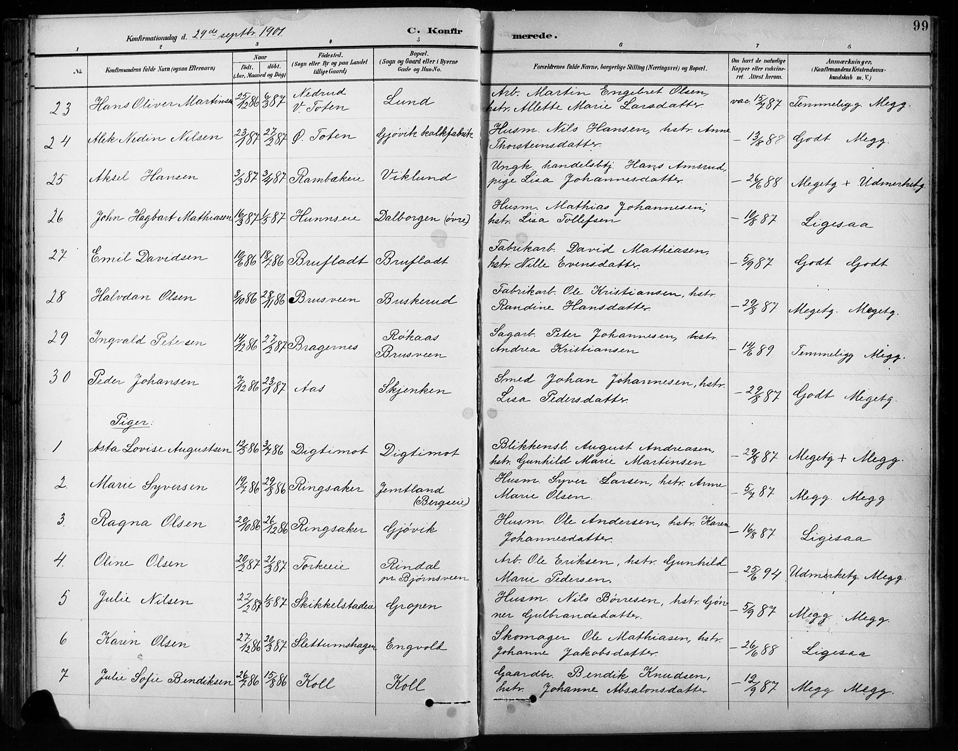 Vardal prestekontor, SAH/PREST-100/H/Ha/Hab/L0010: Parish register (copy) no. 10, 1895-1903, p. 99