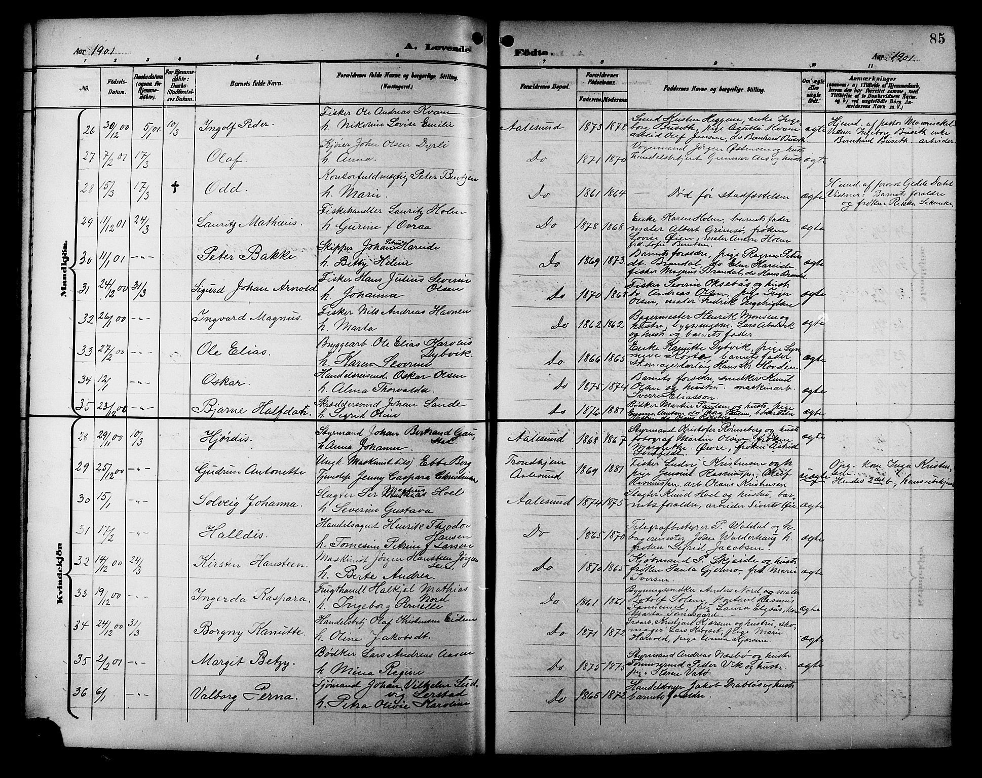 Ministerialprotokoller, klokkerbøker og fødselsregistre - Møre og Romsdal, AV/SAT-A-1454/529/L0468: Parish register (copy) no. 529C05, 1897-1908, p. 85