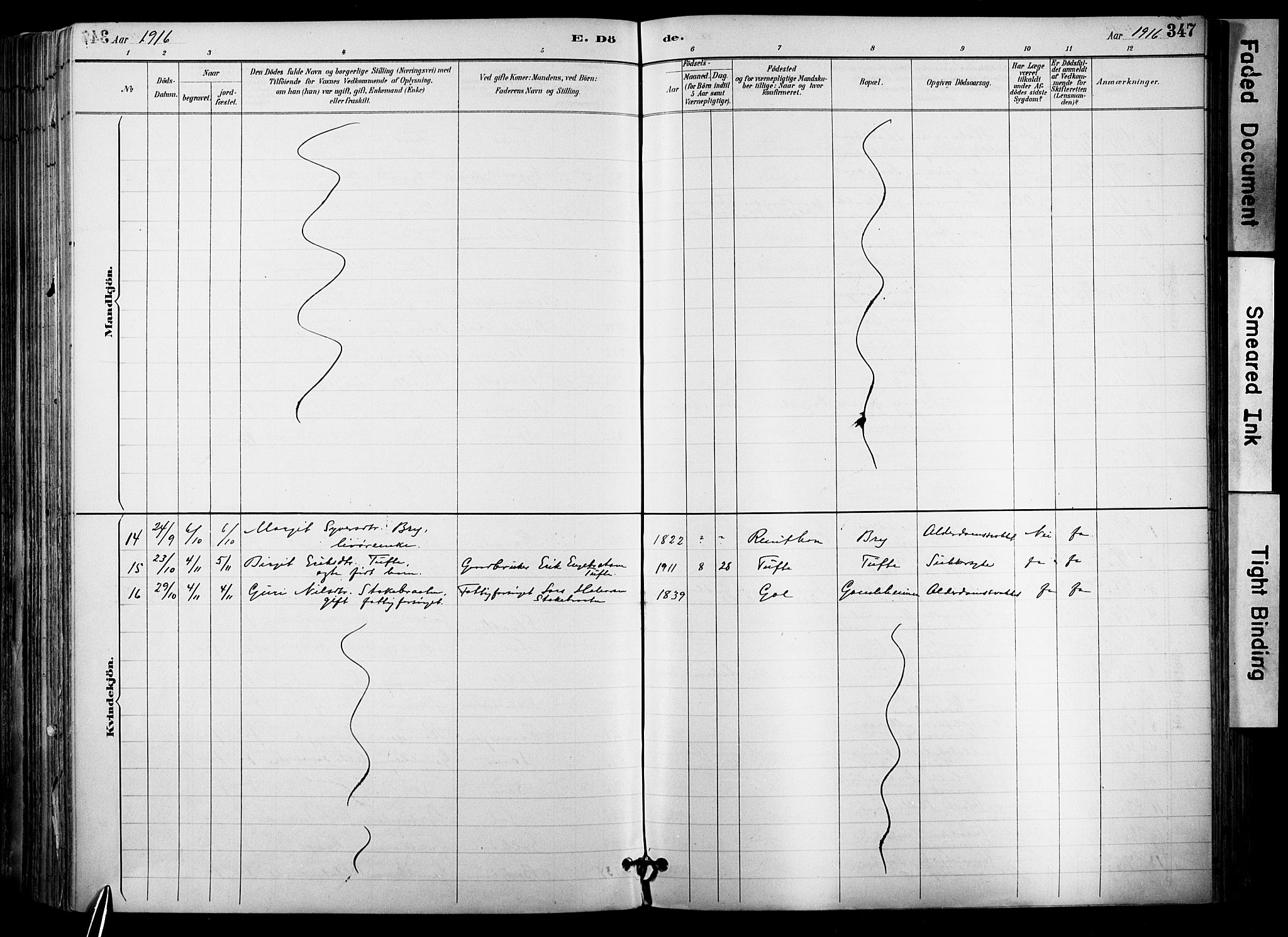 Hol kirkebøker, AV/SAKO-A-227/F/Fa/L0003: Parish register (official) no. I 3, 1887-1918, p. 347