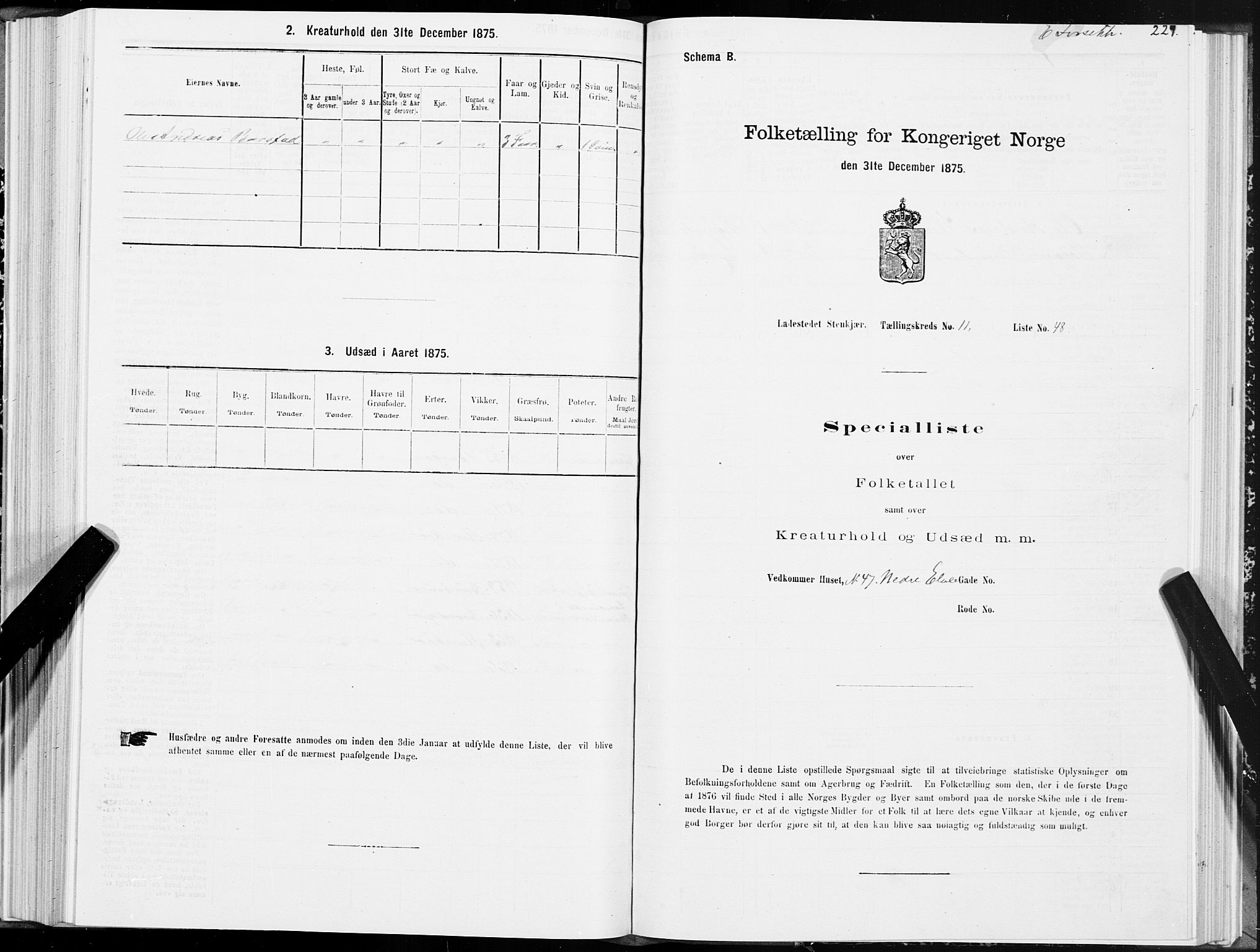 SAT, 1875 census for 1702B Steinkjer/Steinkjer, 1875, p. 229