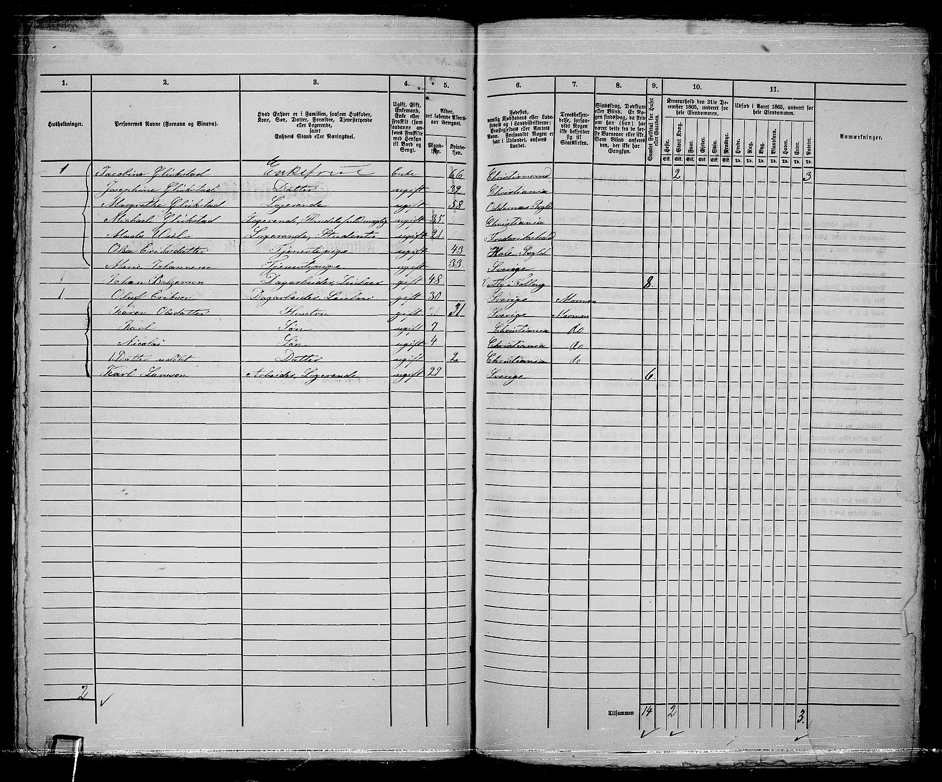 RA, 1865 census for Kristiania, 1865, p. 5250