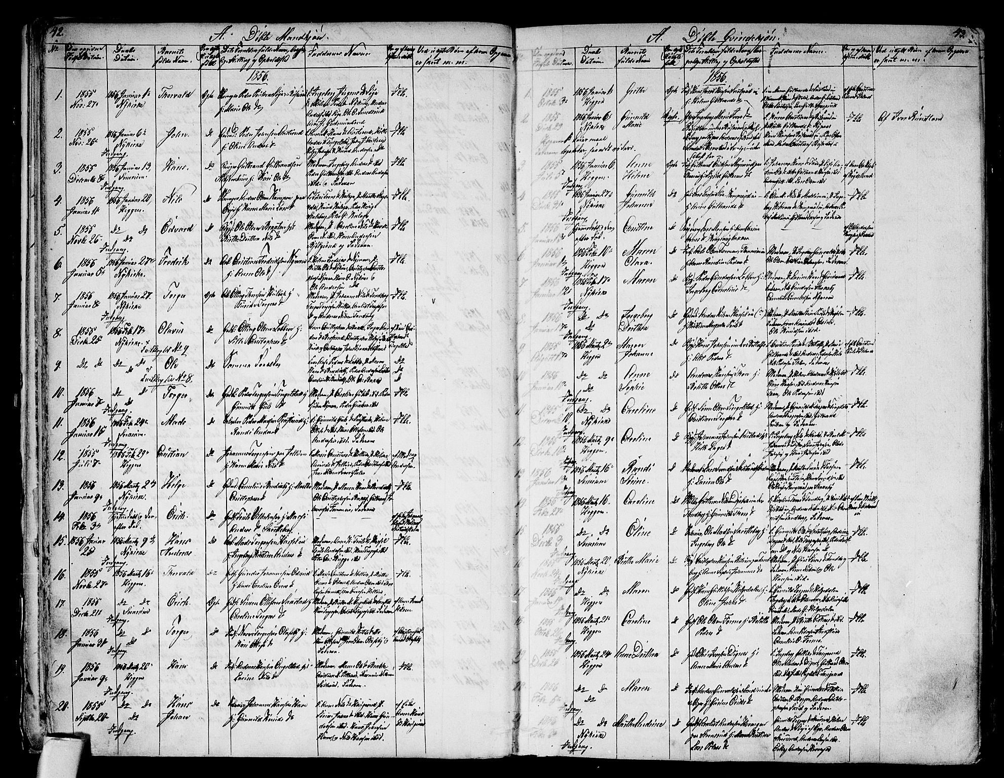Modum kirkebøker, AV/SAKO-A-234/G/Ga/L0006: Parish register (copy) no. I 6, 1854-1868, p. 42-43