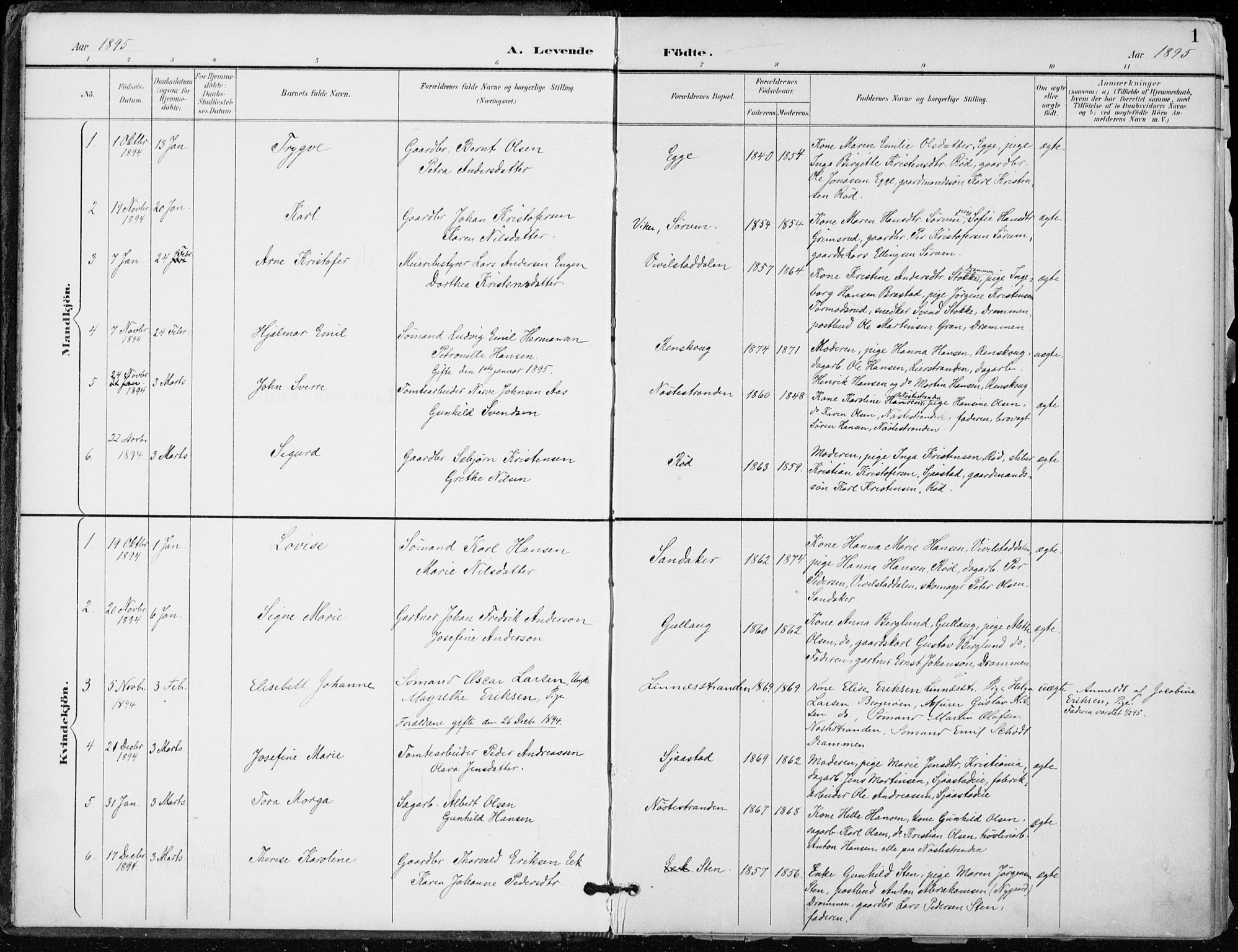 Lier kirkebøker, AV/SAKO-A-230/F/Fa/L0016: Parish register (official) no. I 16, 1895-1900, p. 1