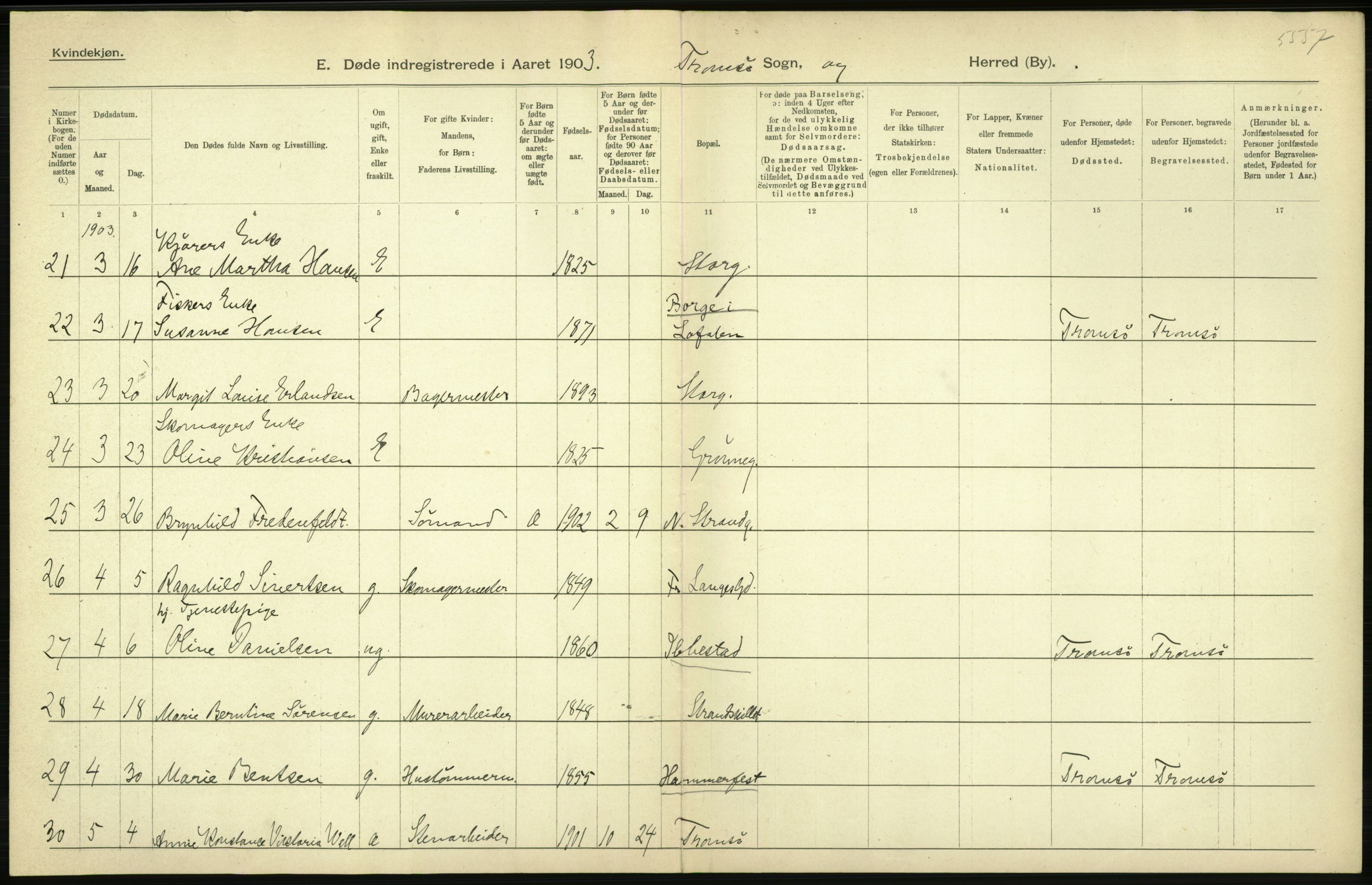 Statistisk sentralbyrå, Sosiodemografiske emner, Befolkning, AV/RA-S-2228/D/Df/Dfa/Dfaa/L0021: Tromsø amt: Fødte, gifte, døde., 1903, p. 536