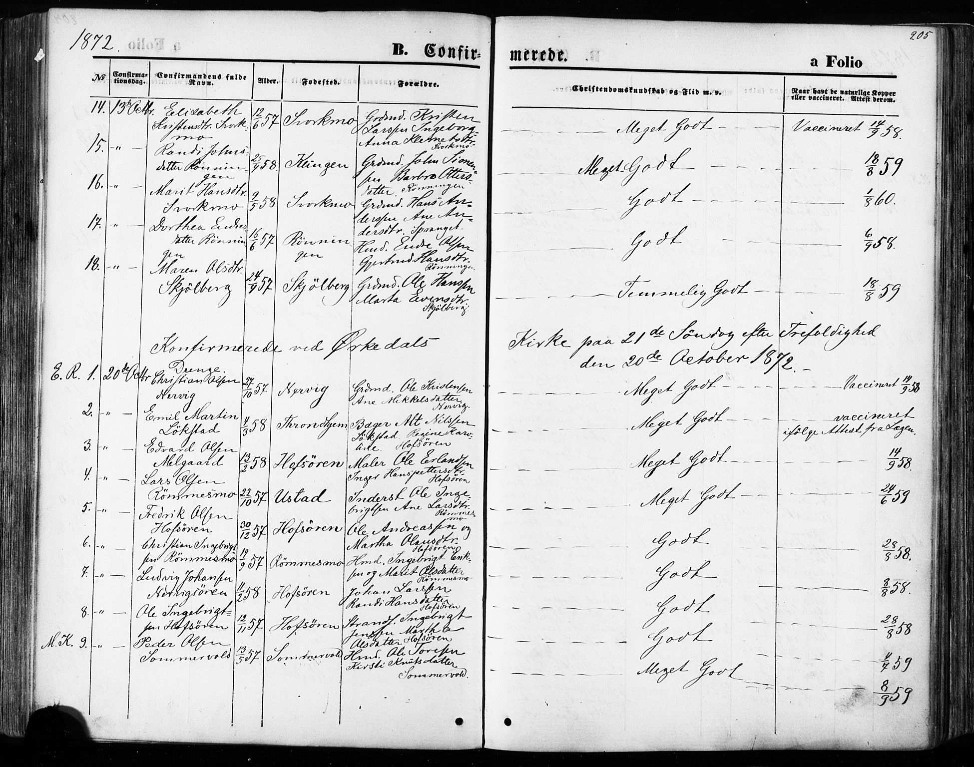 Ministerialprotokoller, klokkerbøker og fødselsregistre - Sør-Trøndelag, AV/SAT-A-1456/668/L0807: Parish register (official) no. 668A07, 1870-1880, p. 205