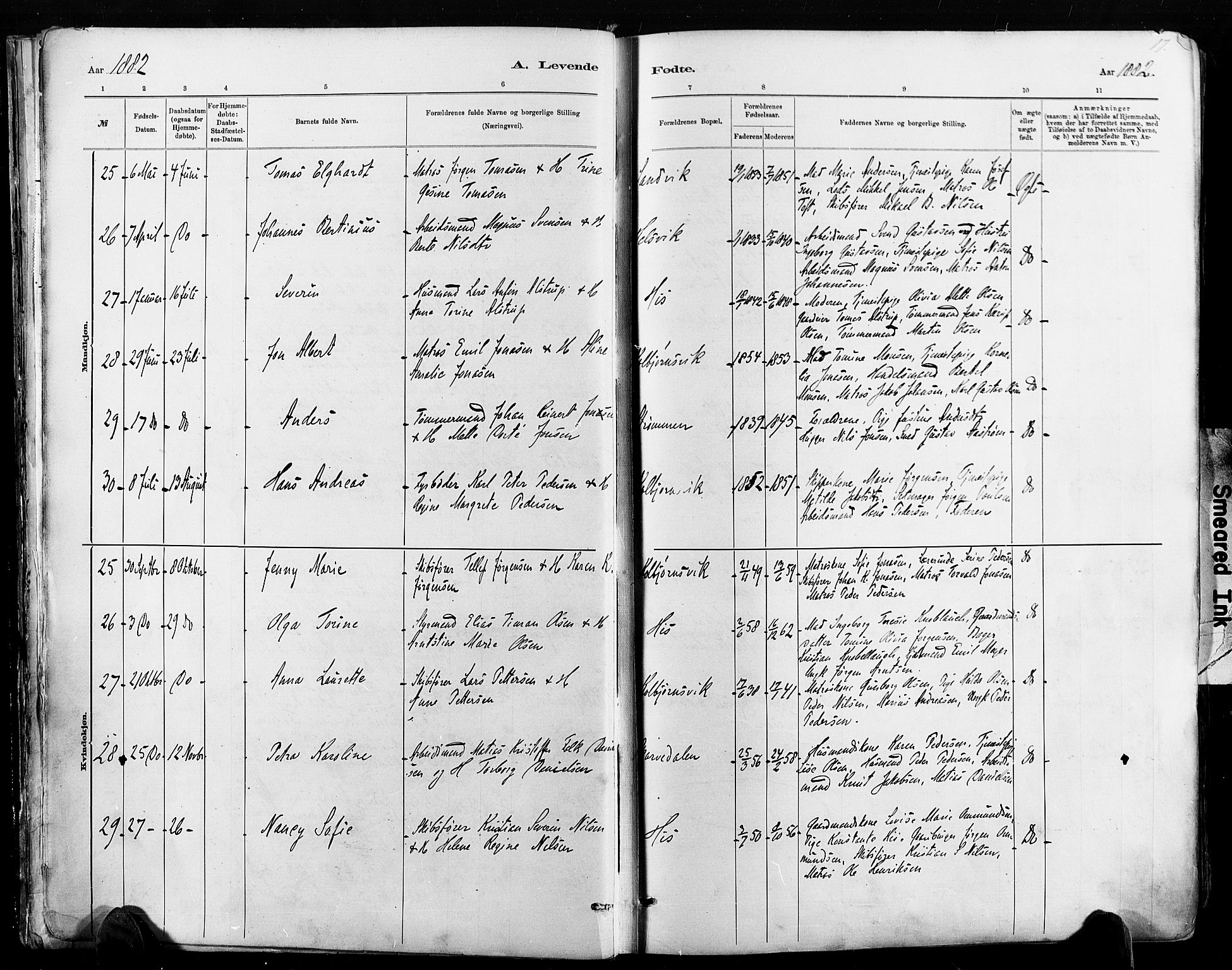 Hisøy sokneprestkontor, AV/SAK-1111-0020/F/Fa/L0003: Parish register (official) no. A 3, 1881-1894, p. 17