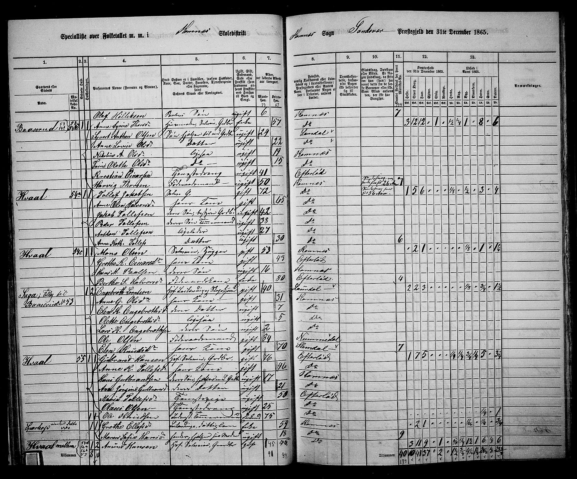 RA, 1865 census for Sandsvær, 1865, p. 31