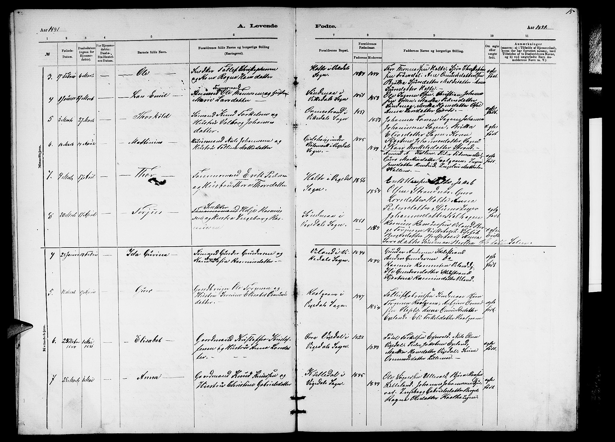 Vikedal sokneprestkontor, AV/SAST-A-101840/01/V: Parish register (copy) no. B 5, 1878-1888, p. 15