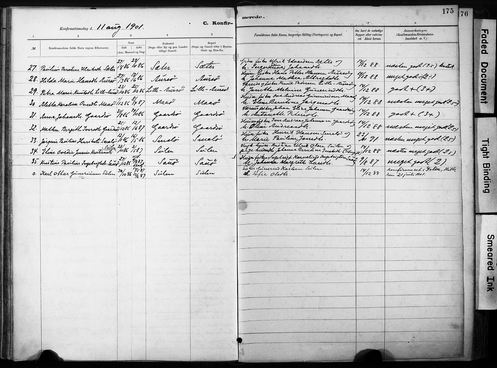 Ministerialprotokoller, klokkerbøker og fødselsregistre - Sør-Trøndelag, SAT/A-1456/640/L0579: Parish register (official) no. 640A04, 1889-1902, p. 175