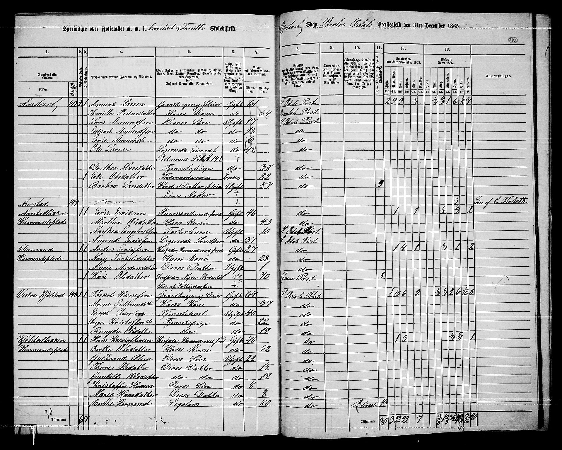 RA, 1865 census for Sør-Odal, 1865, p. 301