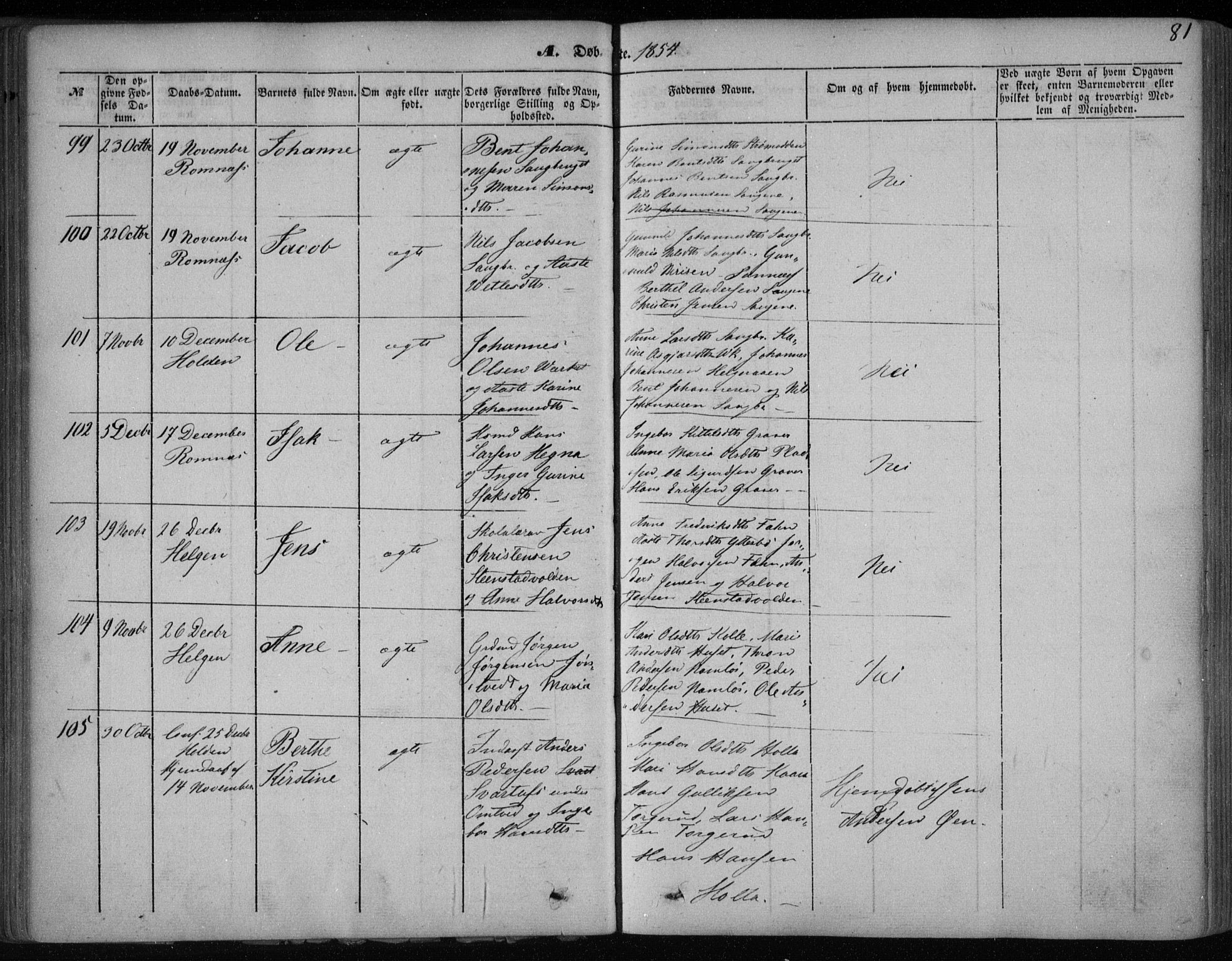 Holla kirkebøker, SAKO/A-272/F/Fa/L0005: Parish register (official) no. 5, 1849-1860, p. 81