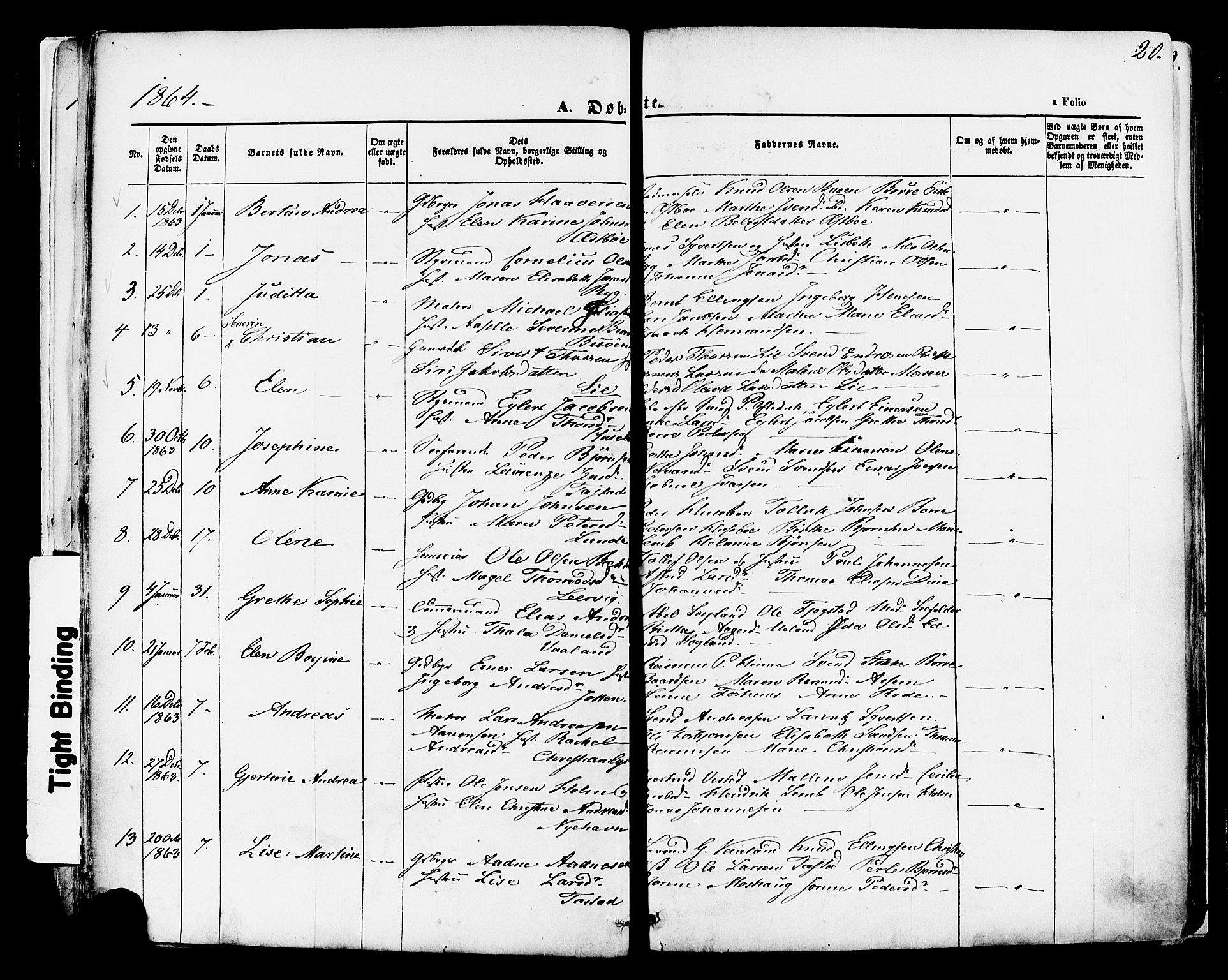 Hetland sokneprestkontor, AV/SAST-A-101826/30/30BA/L0003: Parish register (official) no. A 3, 1862-1876, p. 20