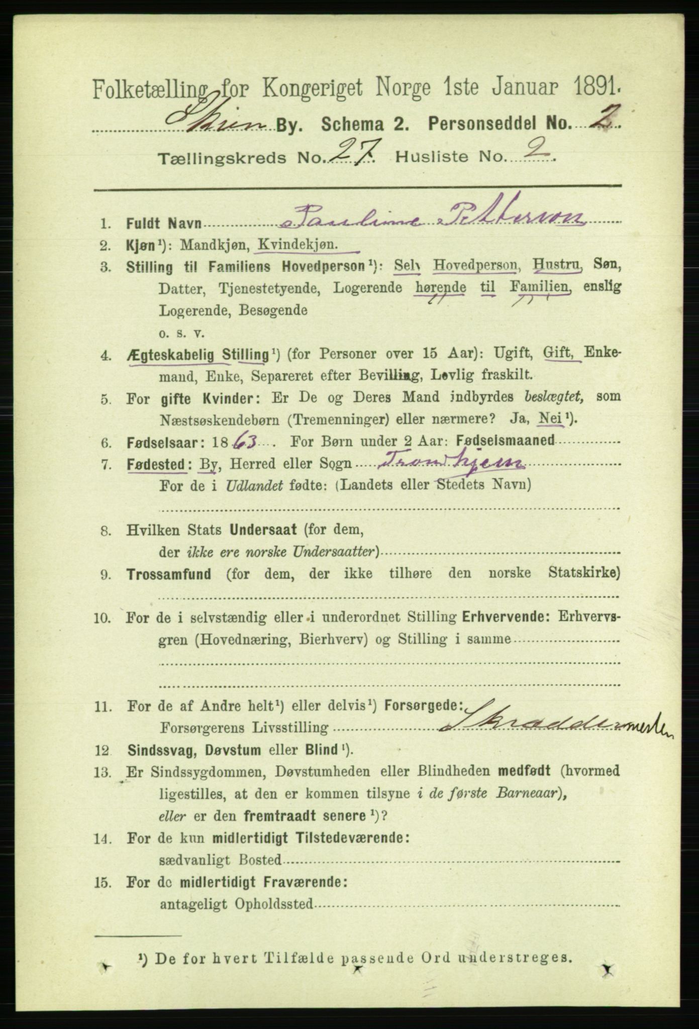 RA, 1891 census for 0806 Skien, 1891, p. 6339