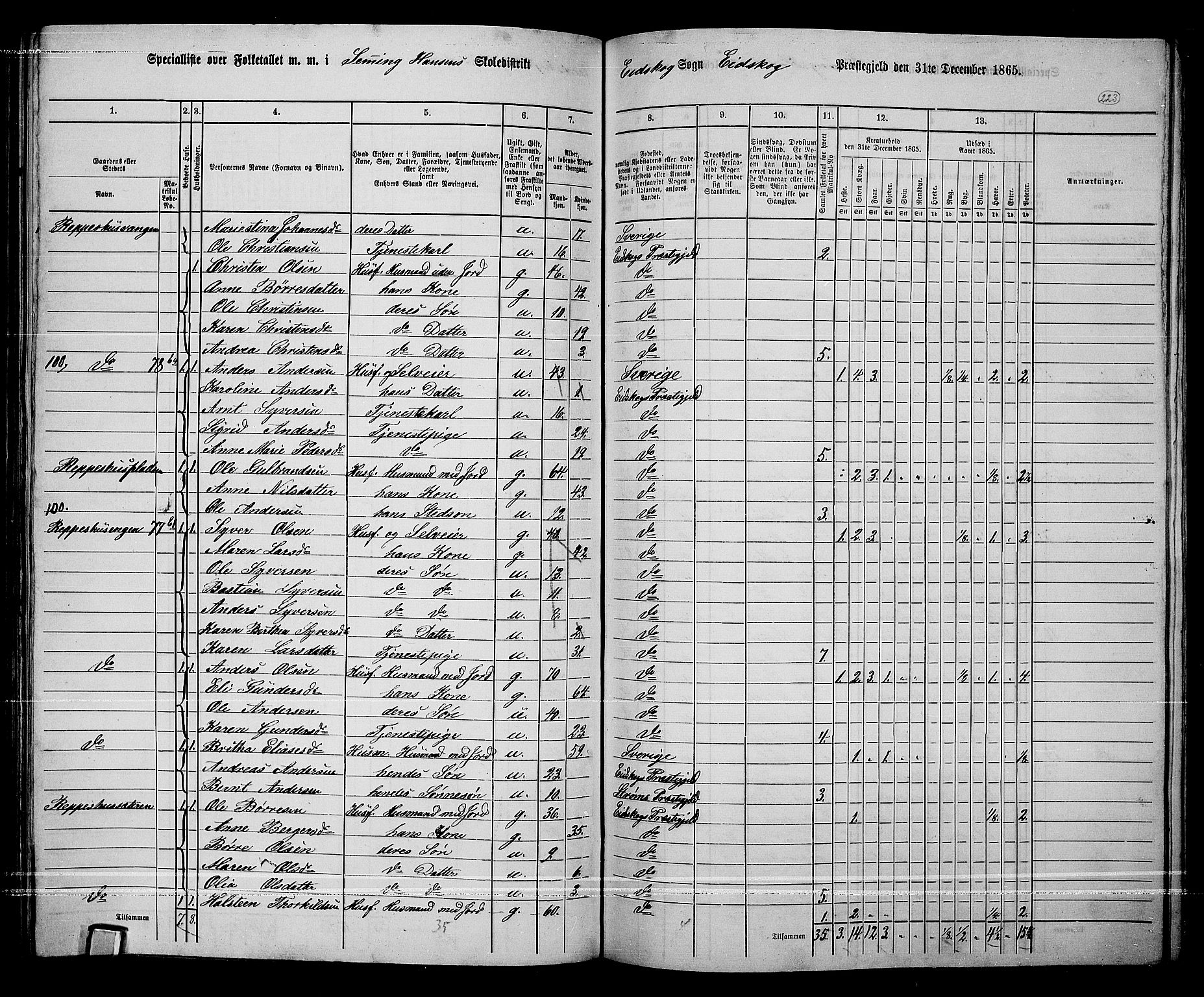 RA, 1865 census for Eidskog, 1865, p. 199