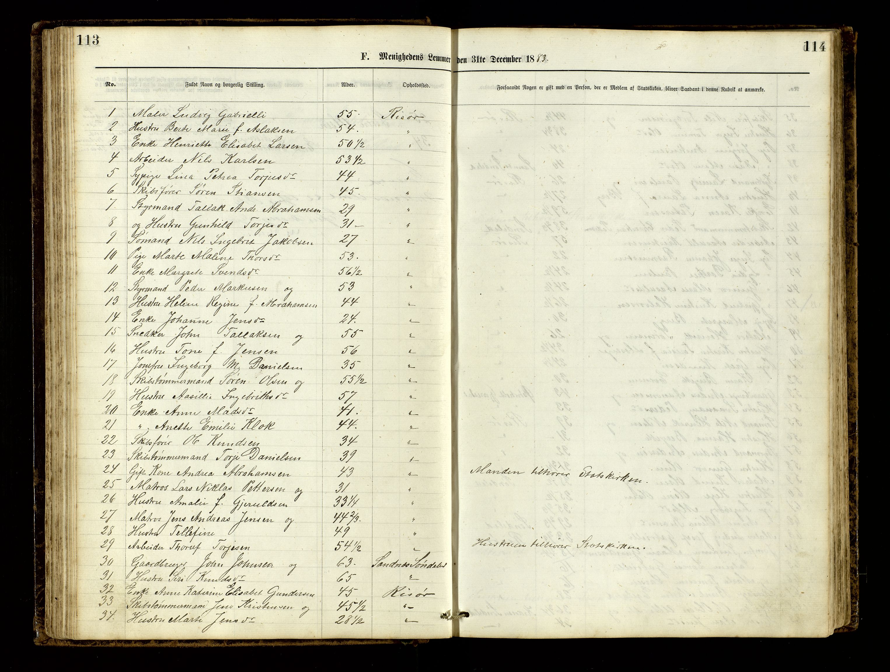 Den evangelisk-lutherske frimenighet, Risør, AV/SAK-1292-0007/F/Fa/L0001: Dissenter register no. F 17, 1877-1892, p. 113-114