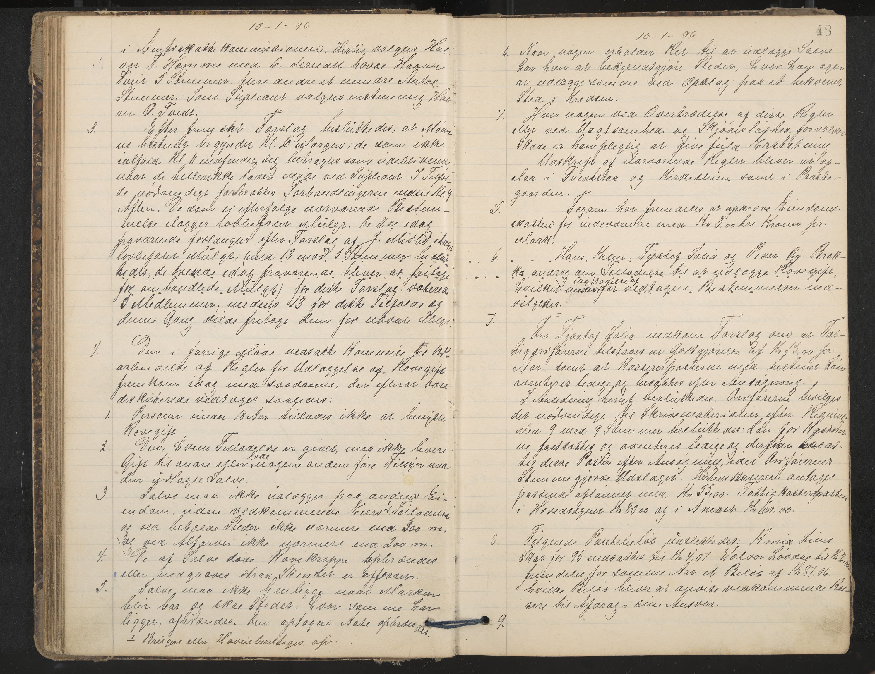 Nissedal formannskap og sentraladministrasjon, IKAK/0830021-1/A/L0003: Møtebok, 1892-1904, p. 48