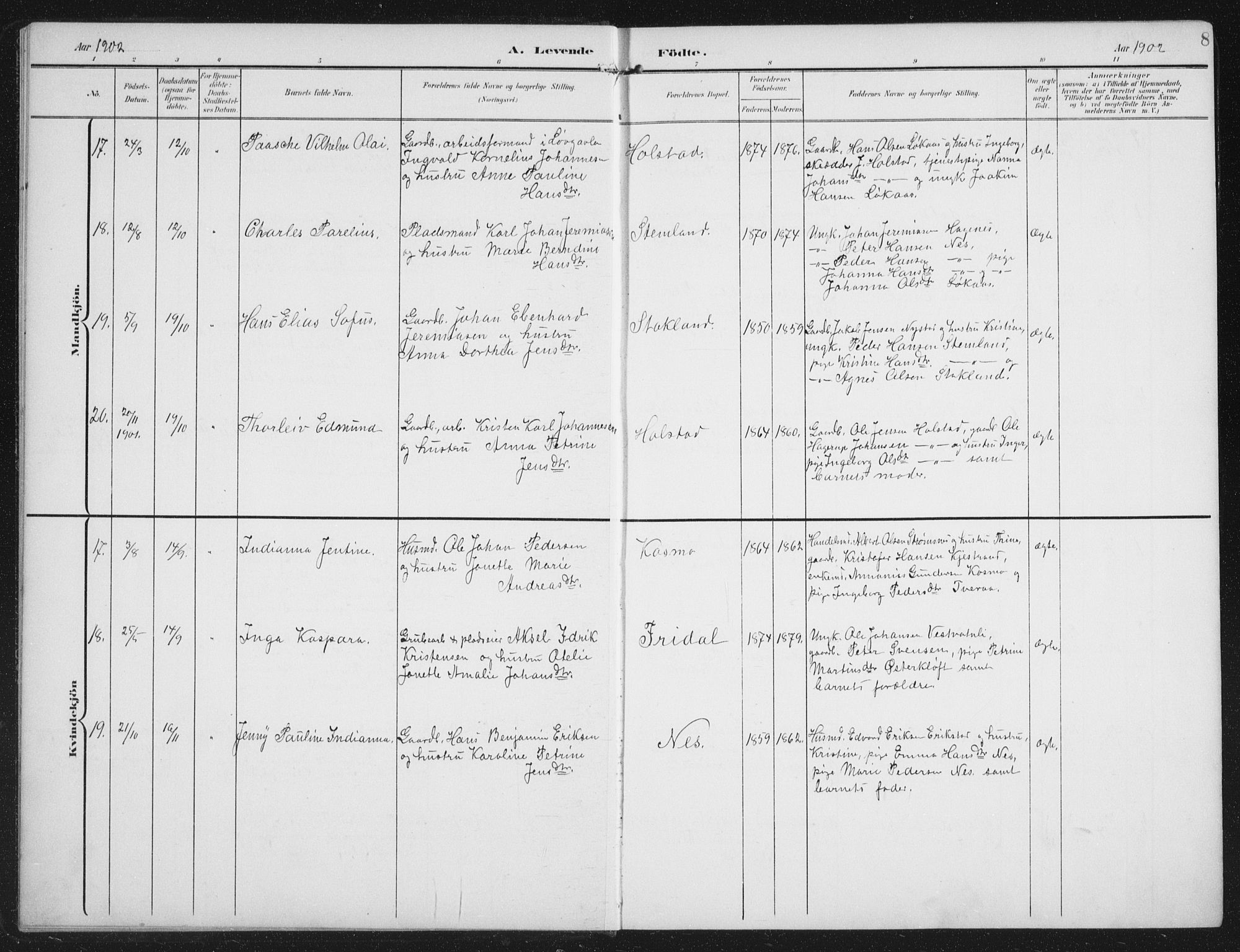 Ministerialprotokoller, klokkerbøker og fødselsregistre - Nordland, AV/SAT-A-1459/851/L0726: Parish register (copy) no. 851C01, 1902-1924, p. 8