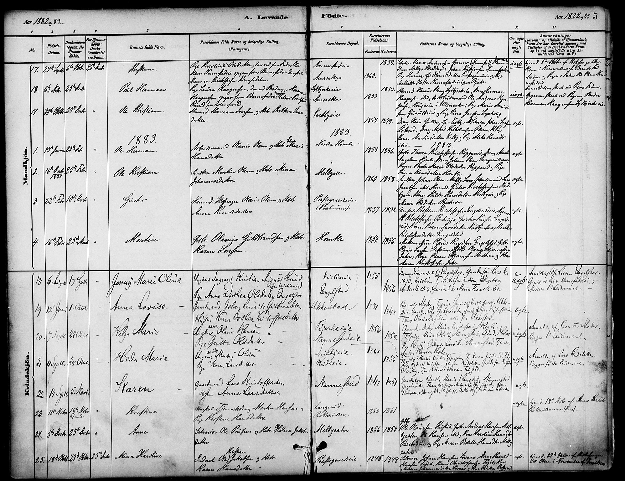 Nannestad prestekontor Kirkebøker, SAO/A-10414a/F/Fa/L0014: Parish register (official) no. I 14, 1881-1890, p. 5