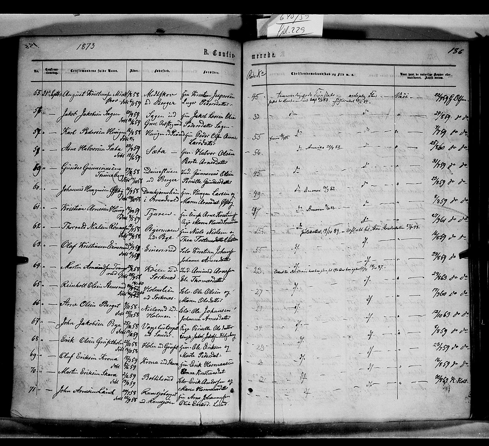 Grue prestekontor, AV/SAH-PREST-036/H/Ha/Haa/L0010: Parish register (official) no. 10, 1864-1873, p. 196