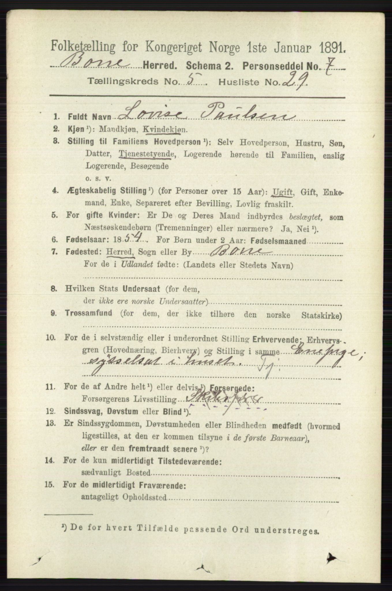 RA, 1891 census for 0717 Borre, 1891, p. 2200