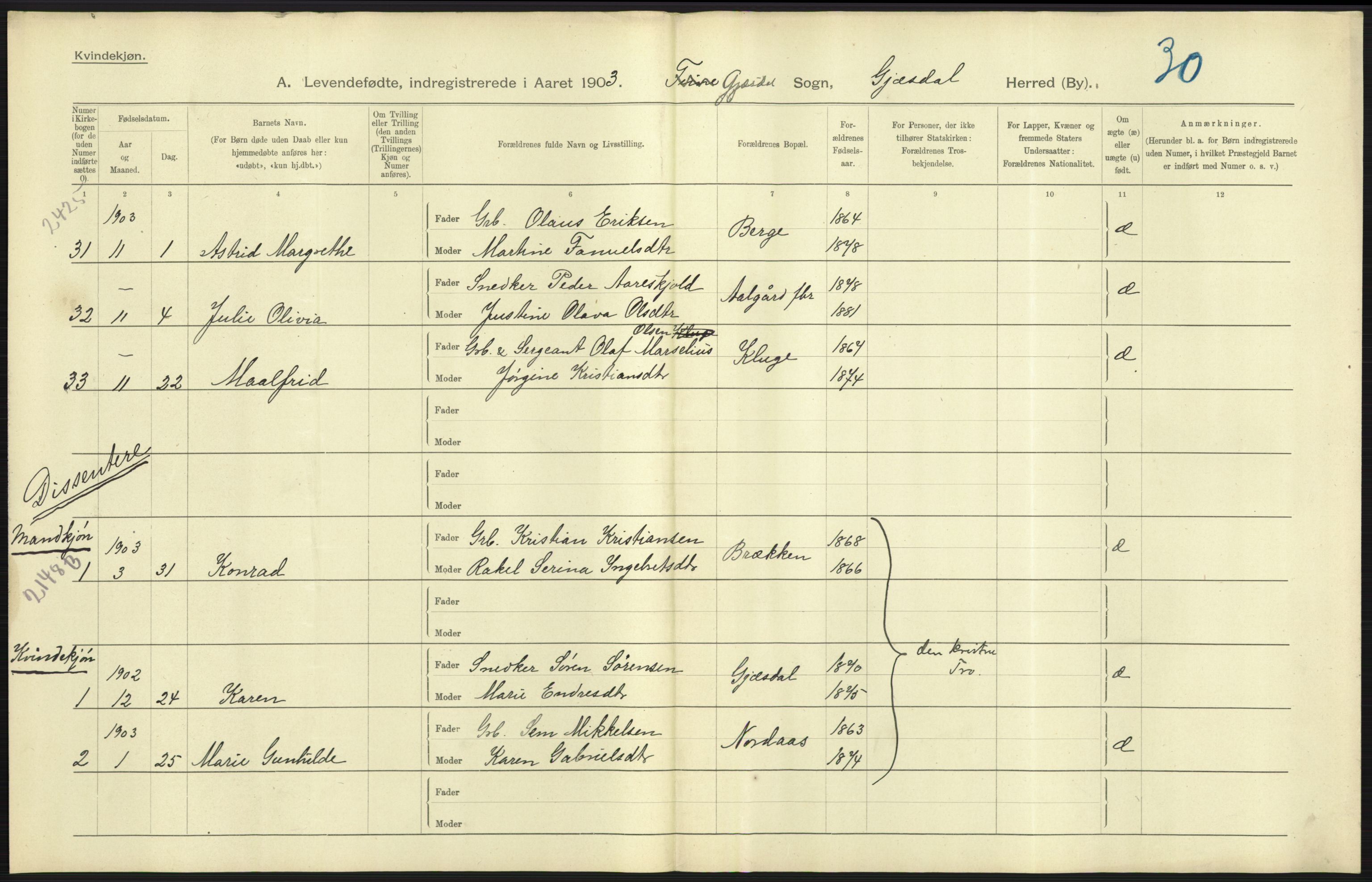 Statistisk sentralbyrå, Sosiodemografiske emner, Befolkning, AV/RA-S-2228/D/Df/Dfa/Dfaa/L0012: Stavanger amt: Fødte, gifte, døde, 1903, p. 17