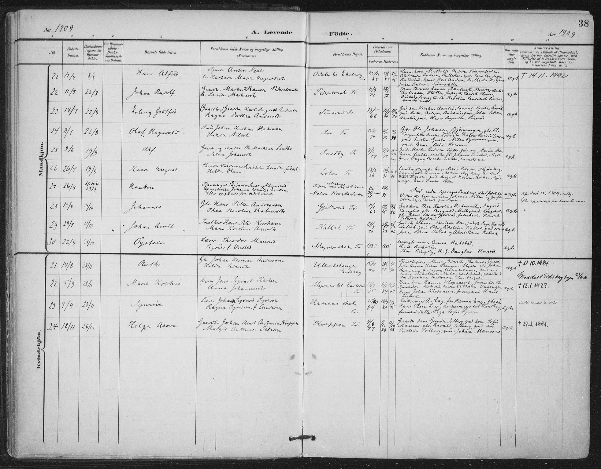 Trøgstad prestekontor Kirkebøker, AV/SAO-A-10925/F/Fa/L0011: Parish register (official) no. I 11, 1899-1919, p. 38