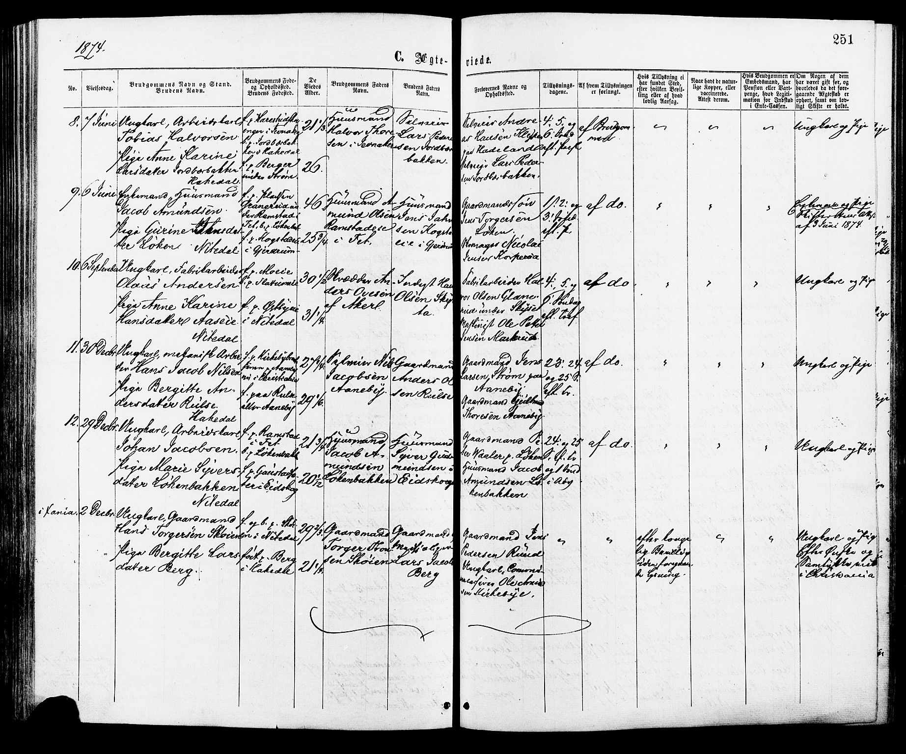 Nittedal prestekontor Kirkebøker, AV/SAO-A-10365a/F/Fa/L0006: Parish register (official) no. I 6, 1863-1878, p. 251