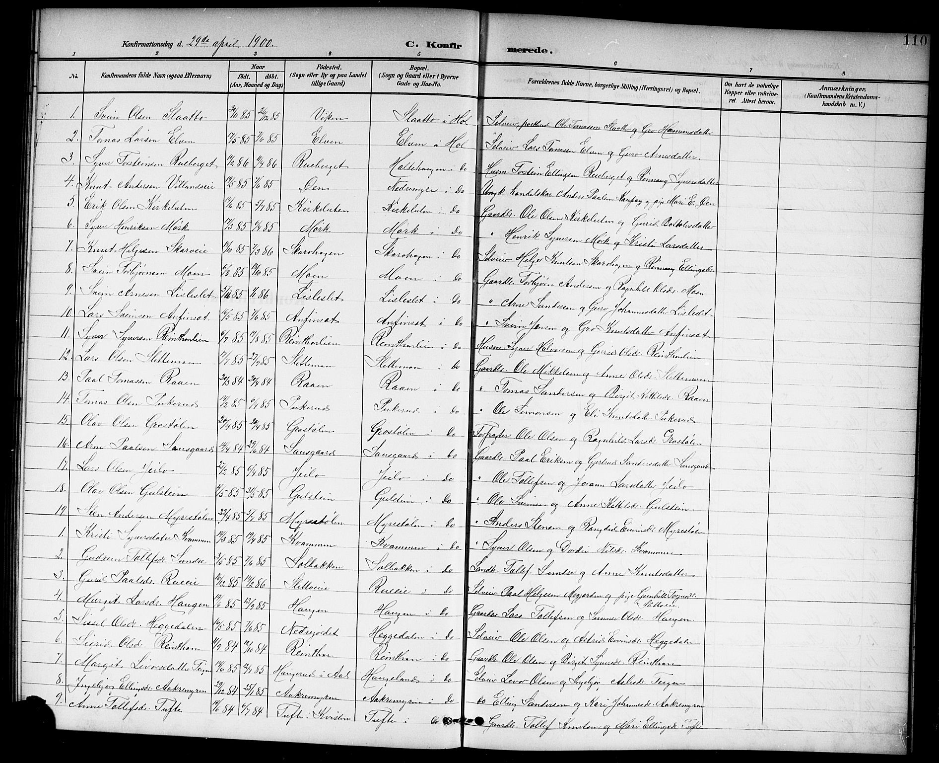 Hol kirkebøker, AV/SAKO-A-227/G/Ga/L0001: Parish register (copy) no. I 1, 1900-1919, p. 110