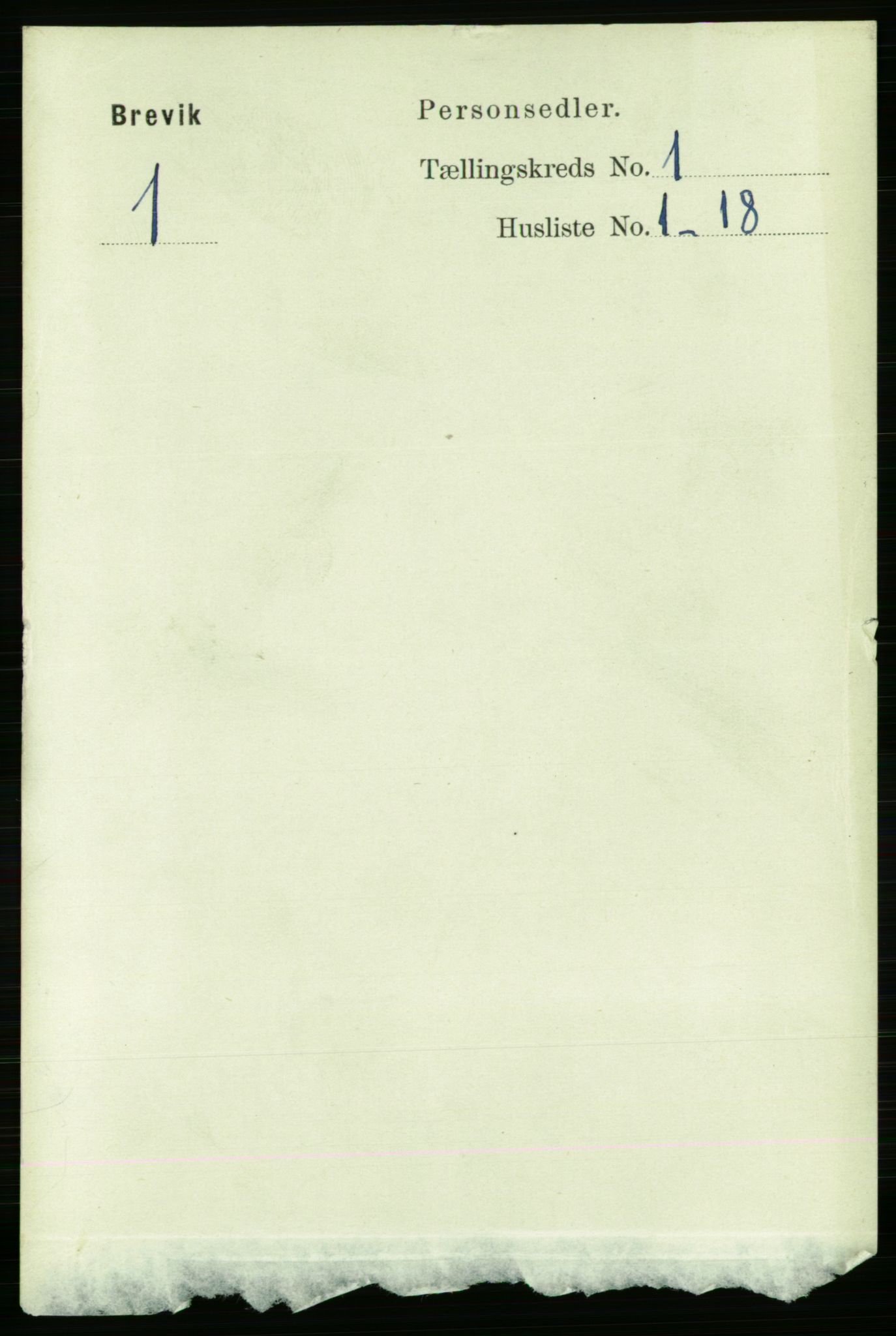 RA, 1891 census for 0804 Brevik, 1891, p. 807