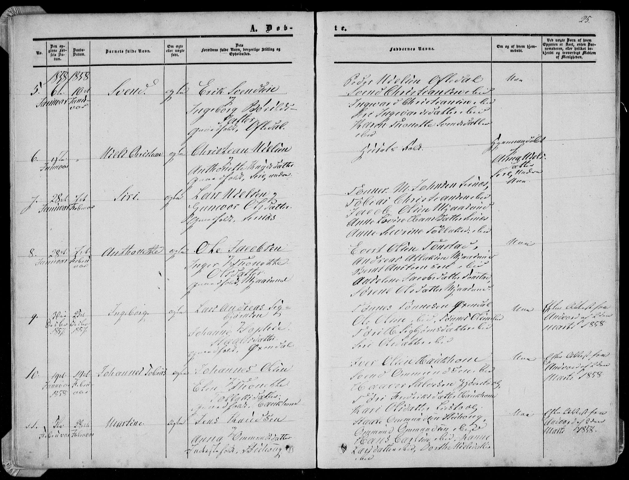 Bakke sokneprestkontor, AV/SAK-1111-0002/F/Fa/Faa/L0006: Parish register (official) no. A 6, 1855-1877, p. 25