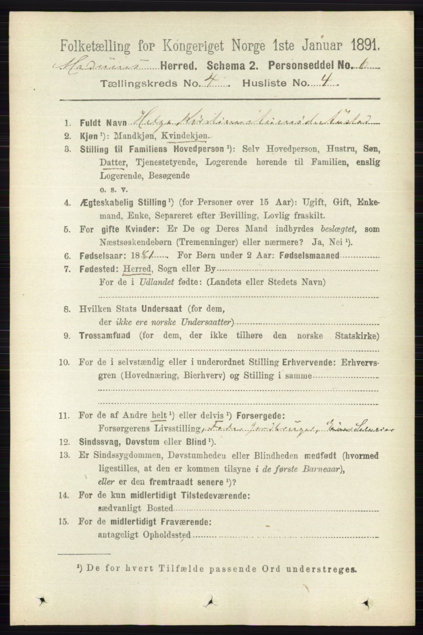 RA, 1891 census for 0623 Modum, 1891, p. 1011