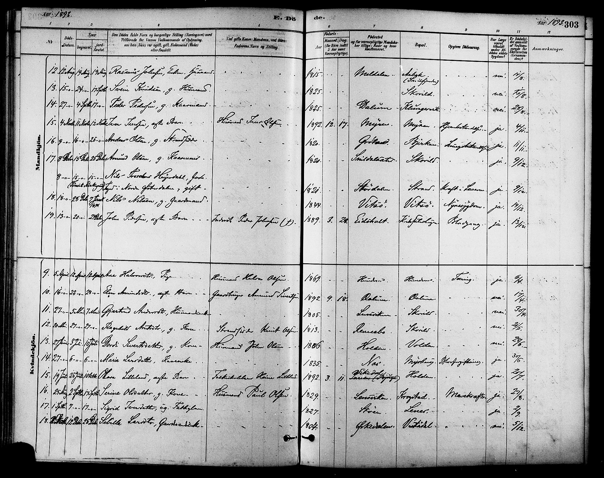 Ministerialprotokoller, klokkerbøker og fødselsregistre - Sør-Trøndelag, AV/SAT-A-1456/630/L0496: Parish register (official) no. 630A09, 1879-1895, p. 303