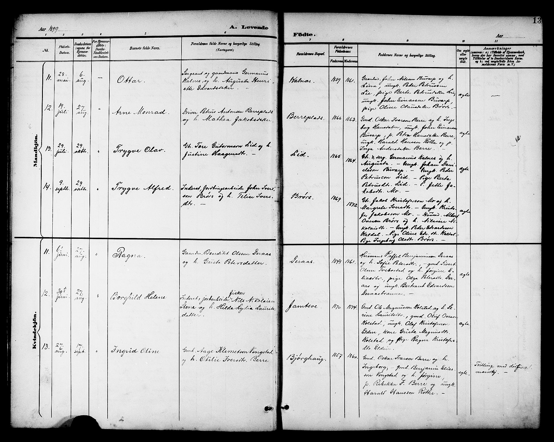 Ministerialprotokoller, klokkerbøker og fødselsregistre - Nord-Trøndelag, AV/SAT-A-1458/742/L0412: Parish register (copy) no. 742C03, 1898-1910, p. 13