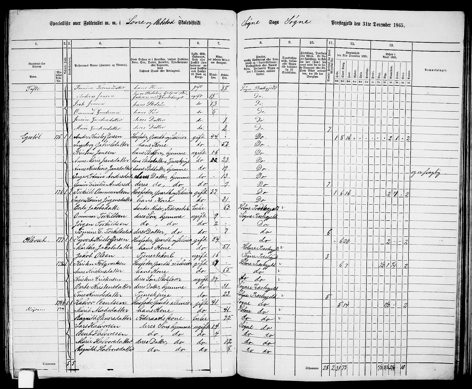 RA, 1865 census for Søgne, 1865, p. 114