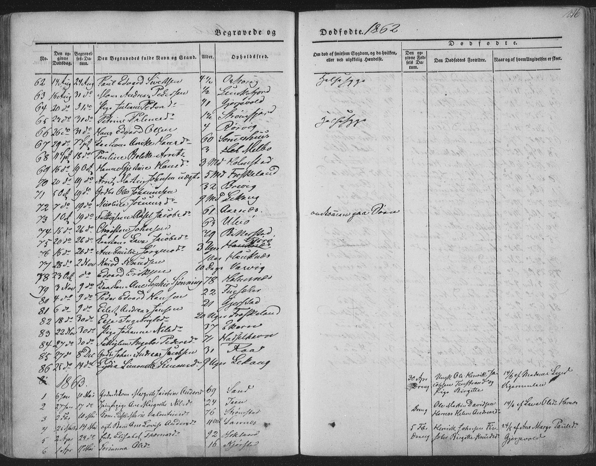 Ministerialprotokoller, klokkerbøker og fødselsregistre - Nordland, AV/SAT-A-1459/888/L1241: Parish register (official) no. 888A07, 1849-1869, p. 316