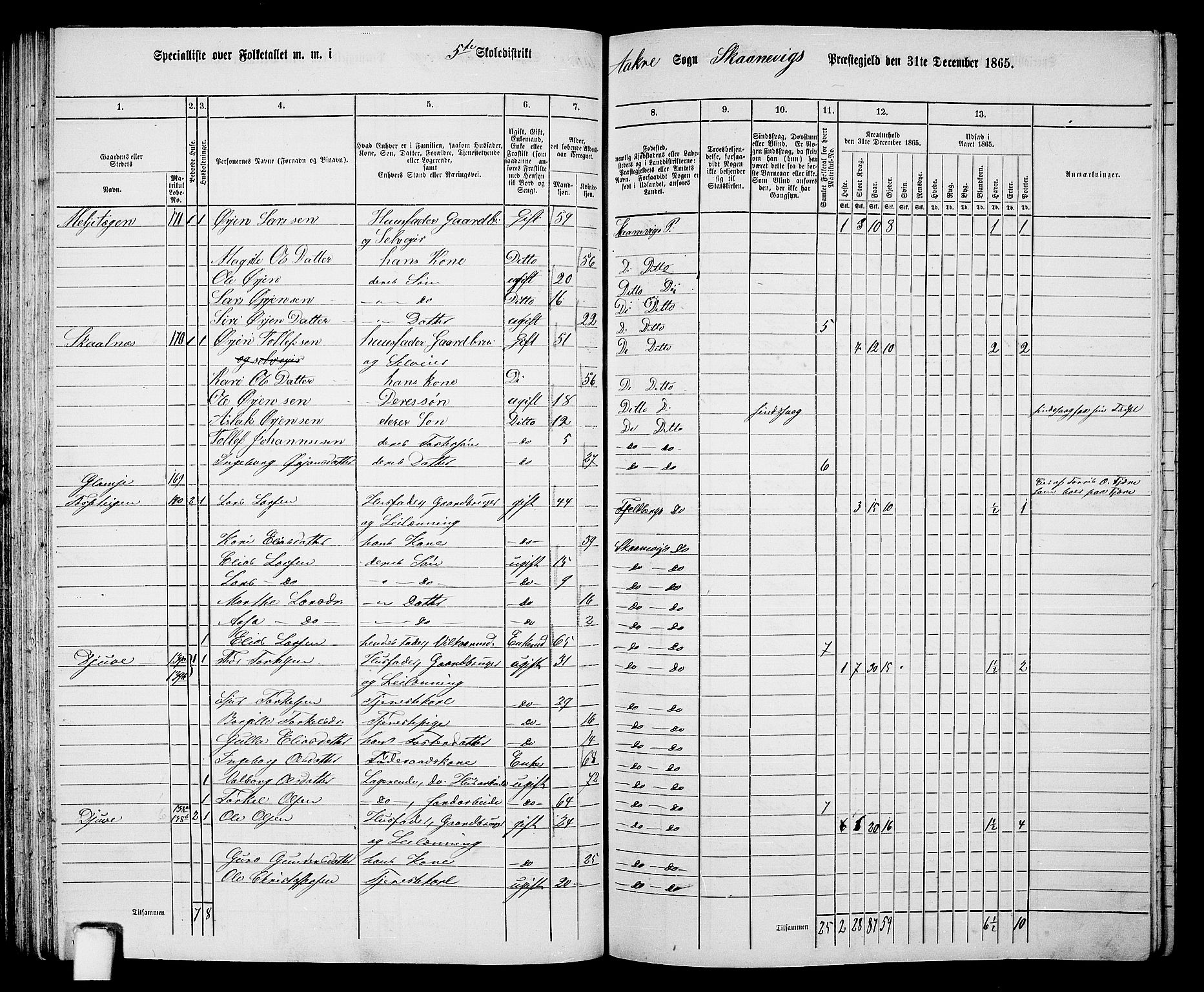 RA, 1865 census for Skånevik, 1865, p. 79