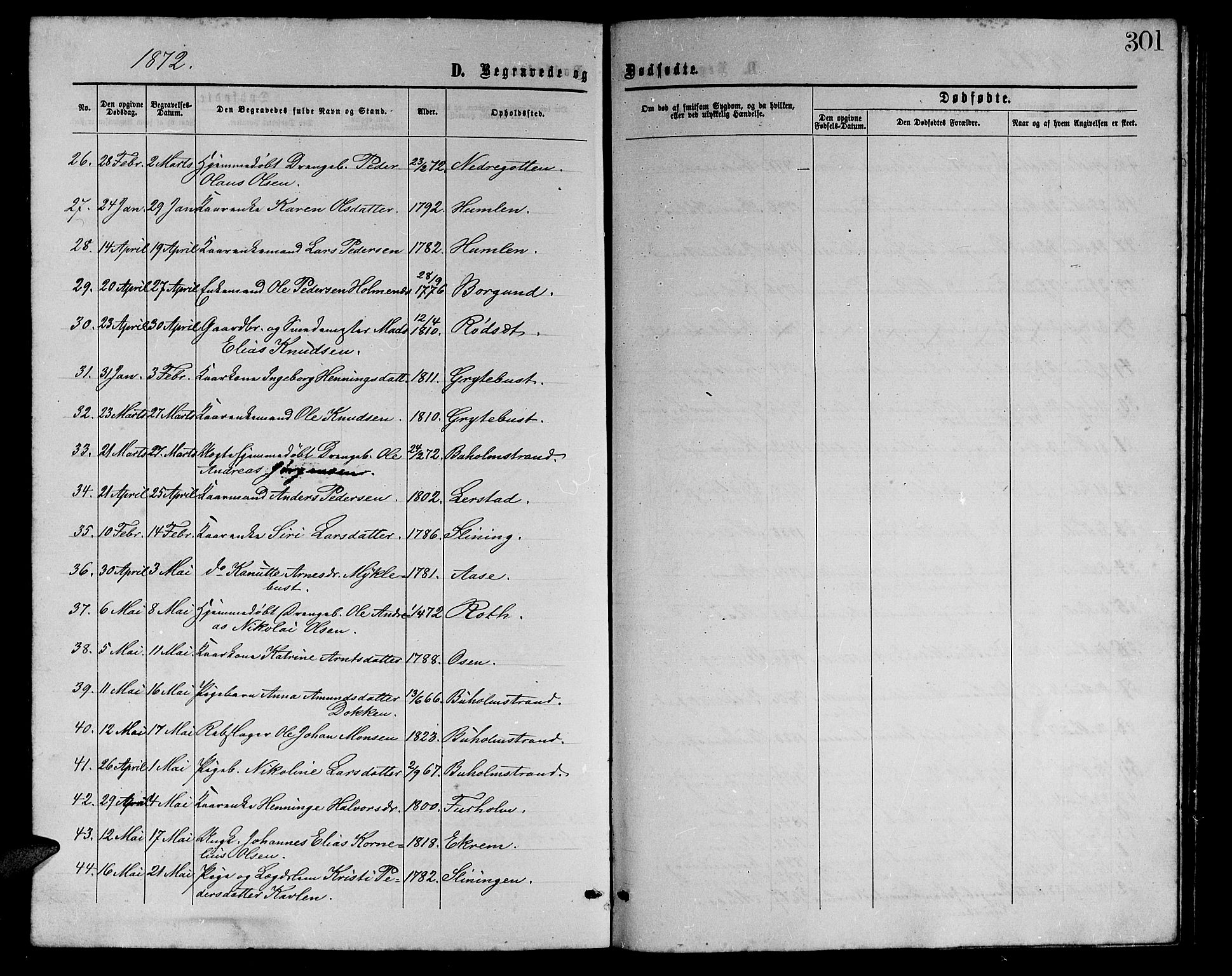 Ministerialprotokoller, klokkerbøker og fødselsregistre - Møre og Romsdal, AV/SAT-A-1454/528/L0428: Parish register (copy) no. 528C09, 1864-1880, p. 301