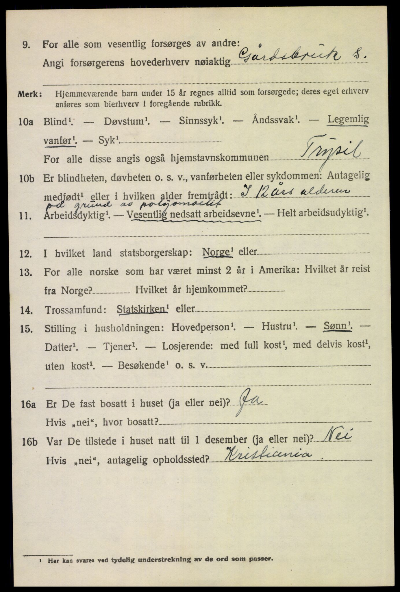 SAH, 1920 census for Trysil, 1920, p. 6994