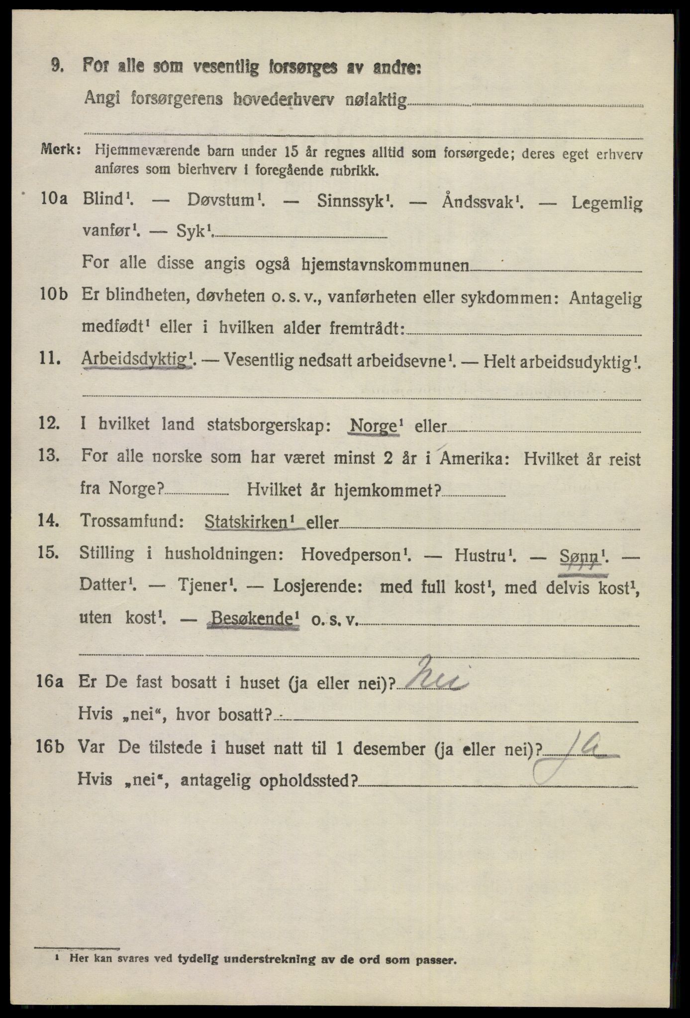 SAKO, 1920 census for Norderhov, 1920, p. 15539