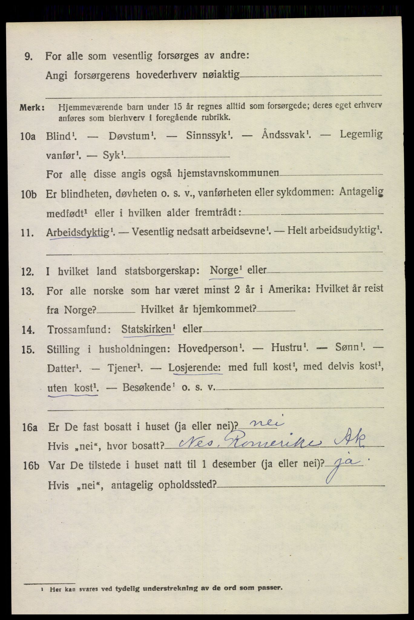 SAH, 1920 census for Sør-Odal, 1920, p. 12128