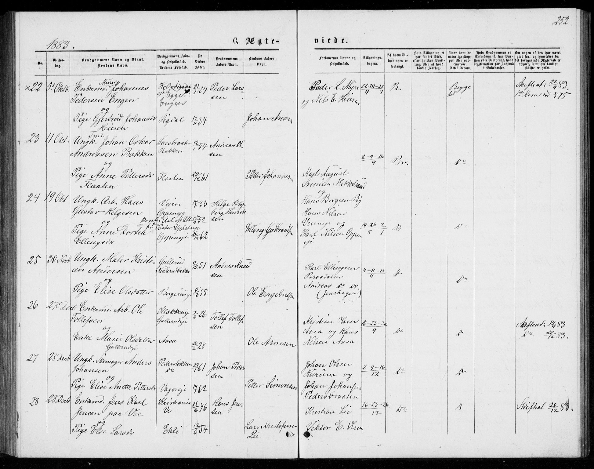 Norderhov kirkebøker, AV/SAKO-A-237/G/Ga/L0007: Parish register (copy) no. I 7, 1877-1887, p. 252